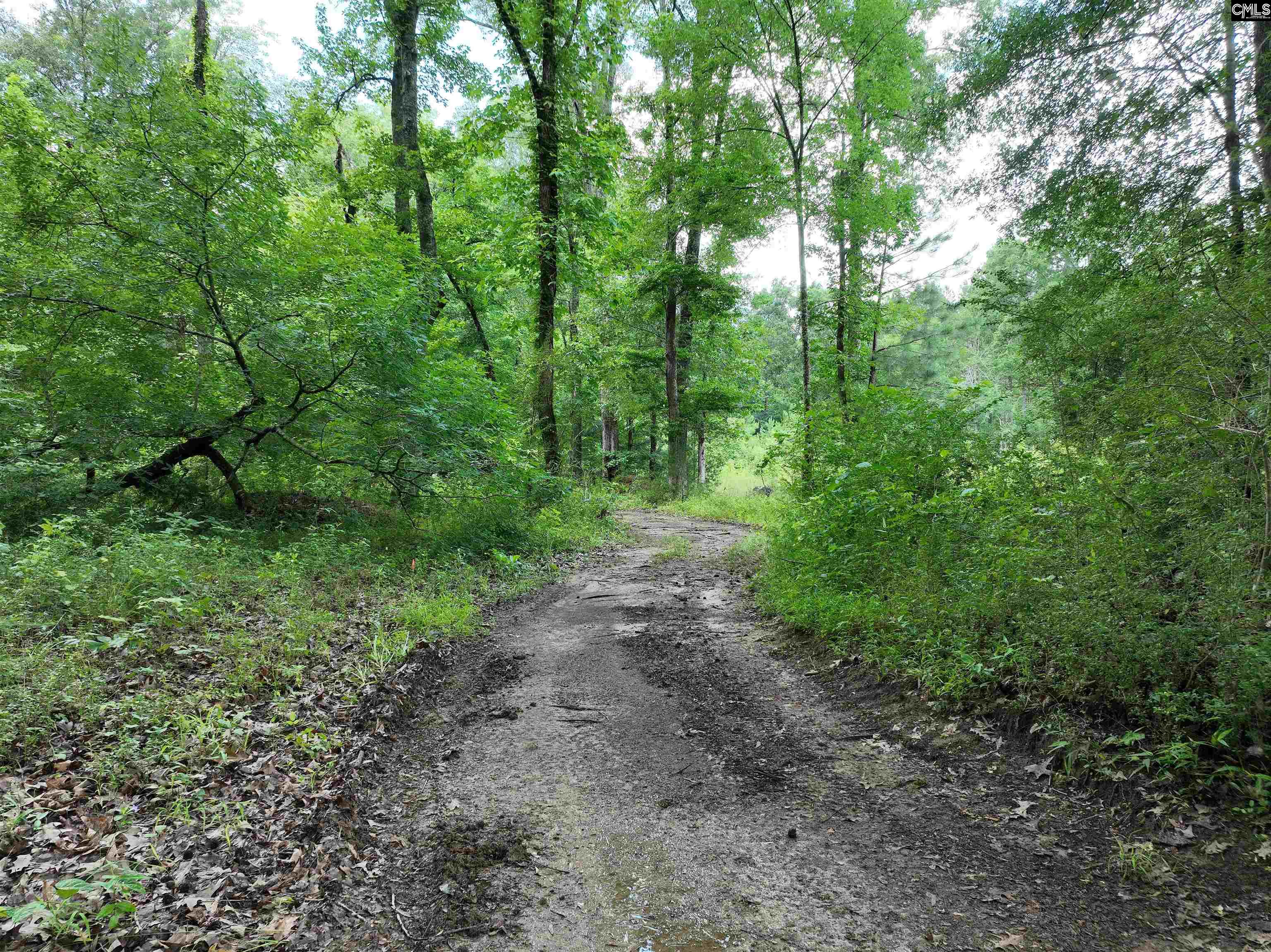 Rocky Branch Road Chapin, SC 29036