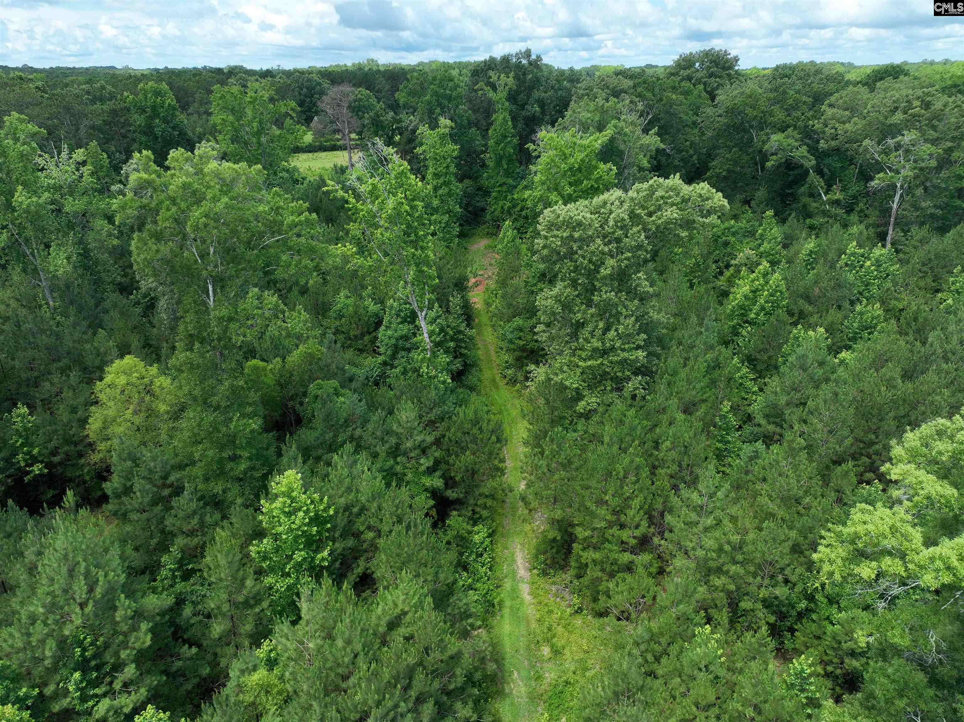 Rocky Branch Road Chapin, SC 29036