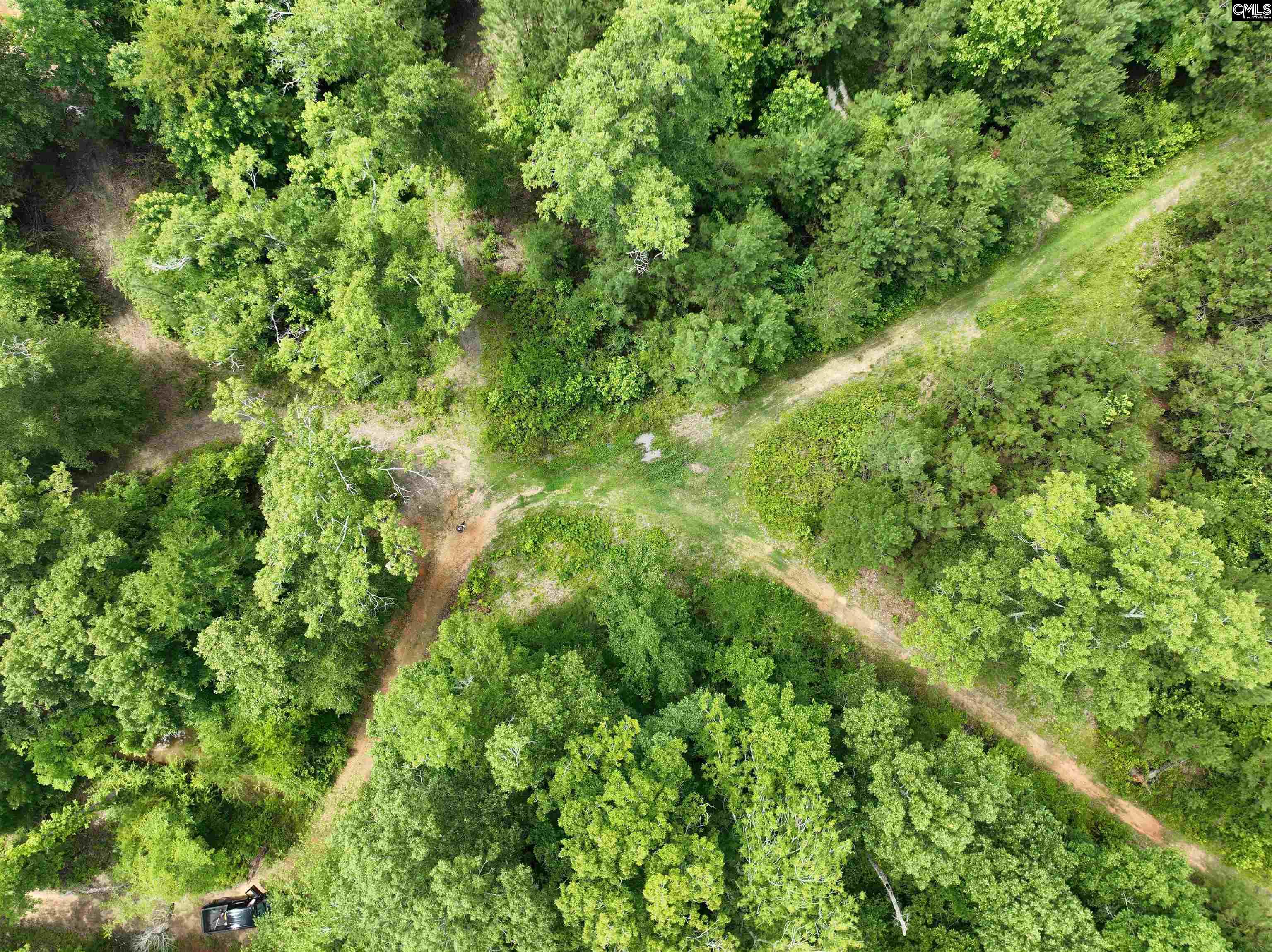 Rocky Branch Road Chapin, SC 29036