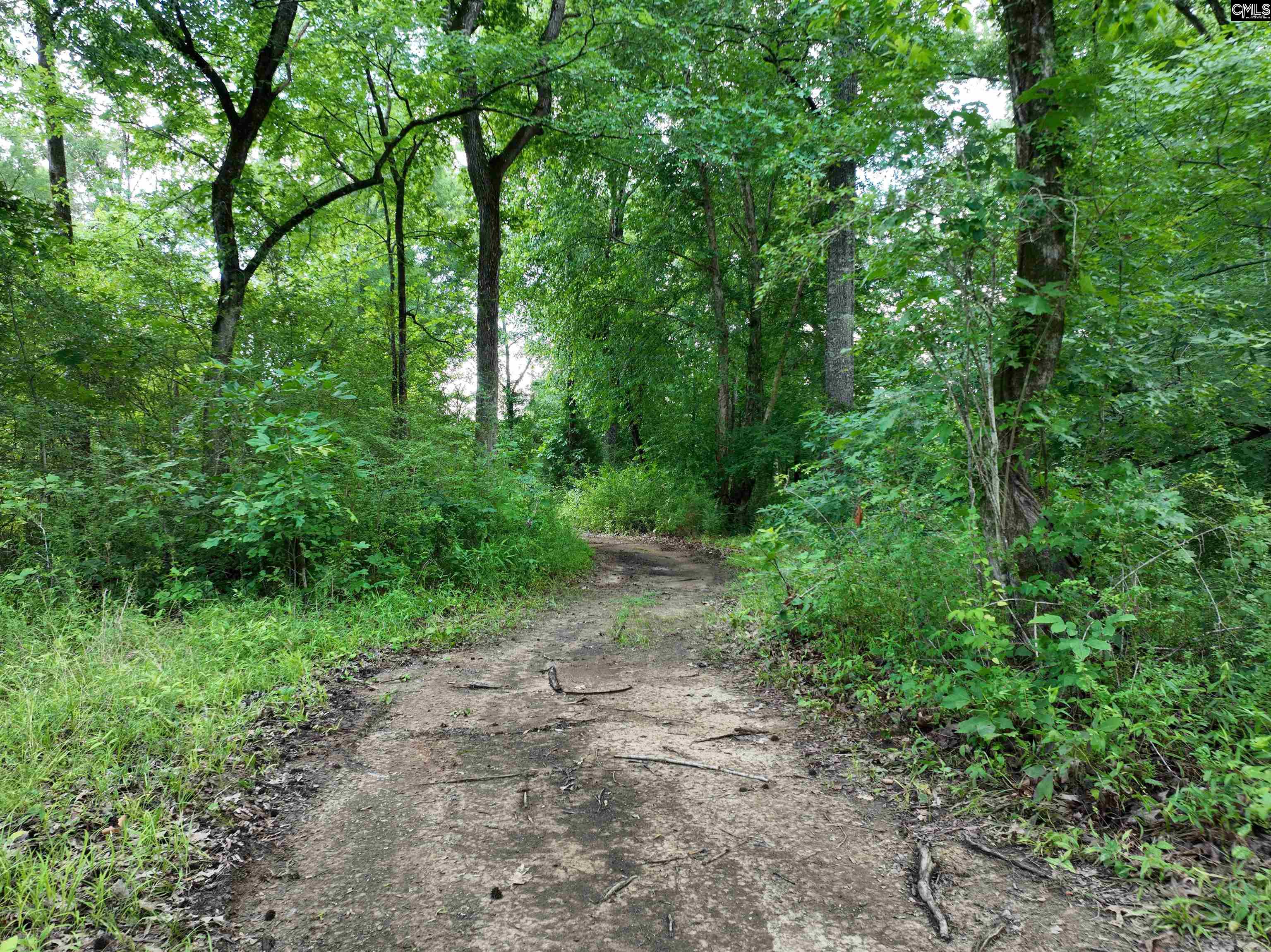 Rocky Branch Road Chapin, SC 29036
