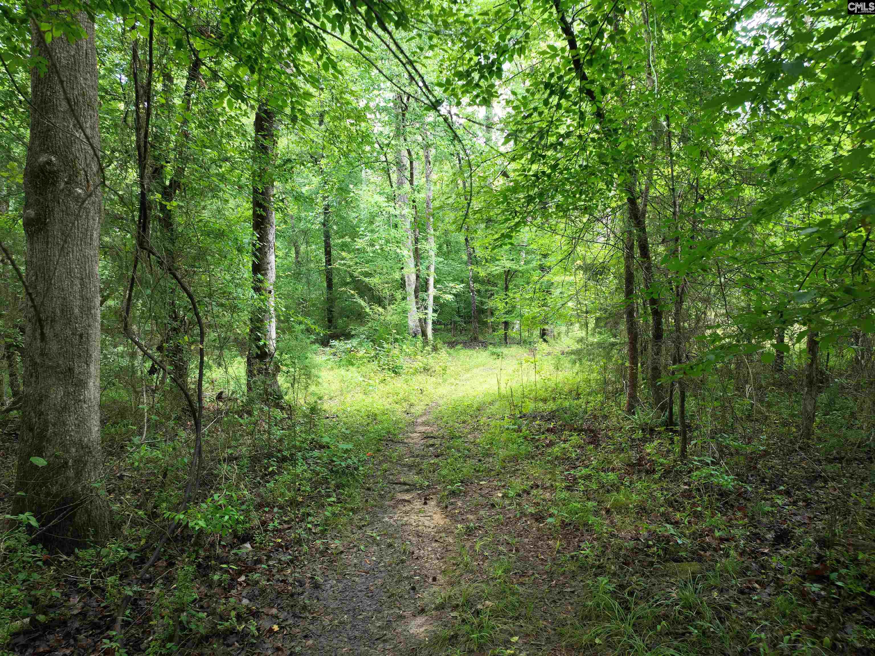 Rocky Branch Road Chapin, SC 29036