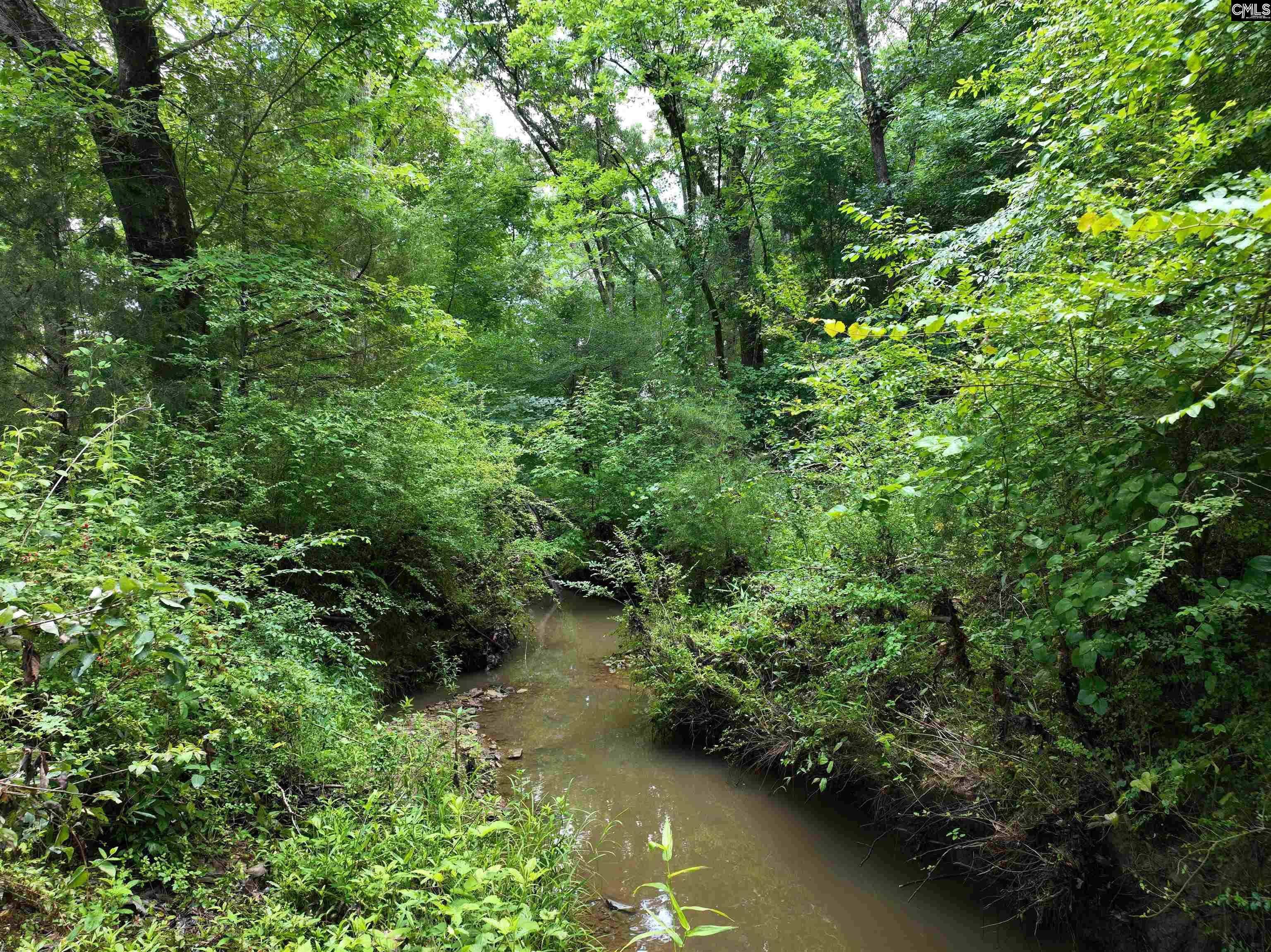 Rocky Branch Road Chapin, SC 29036