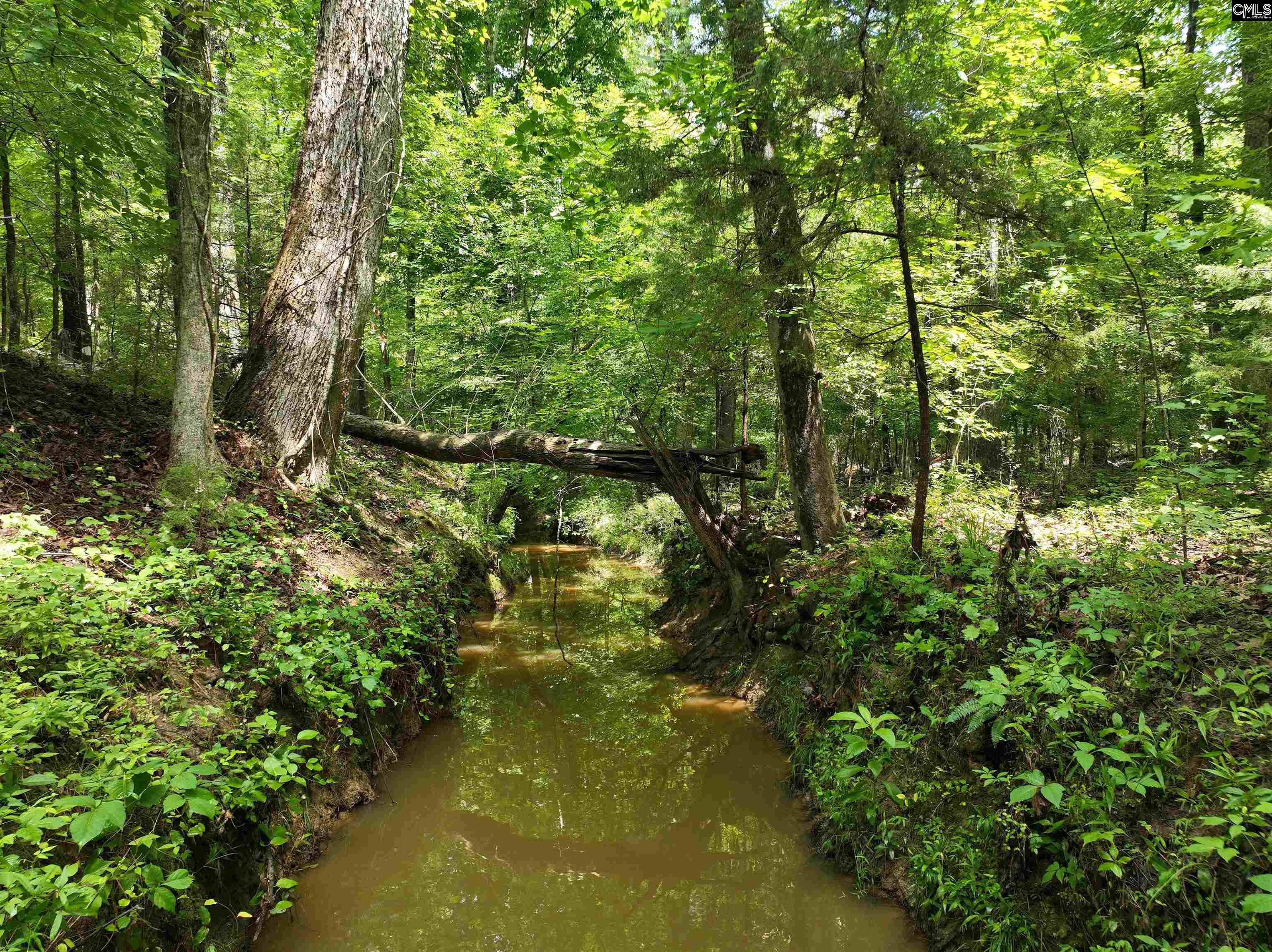 Rocky Branch Road Chapin, SC 29036