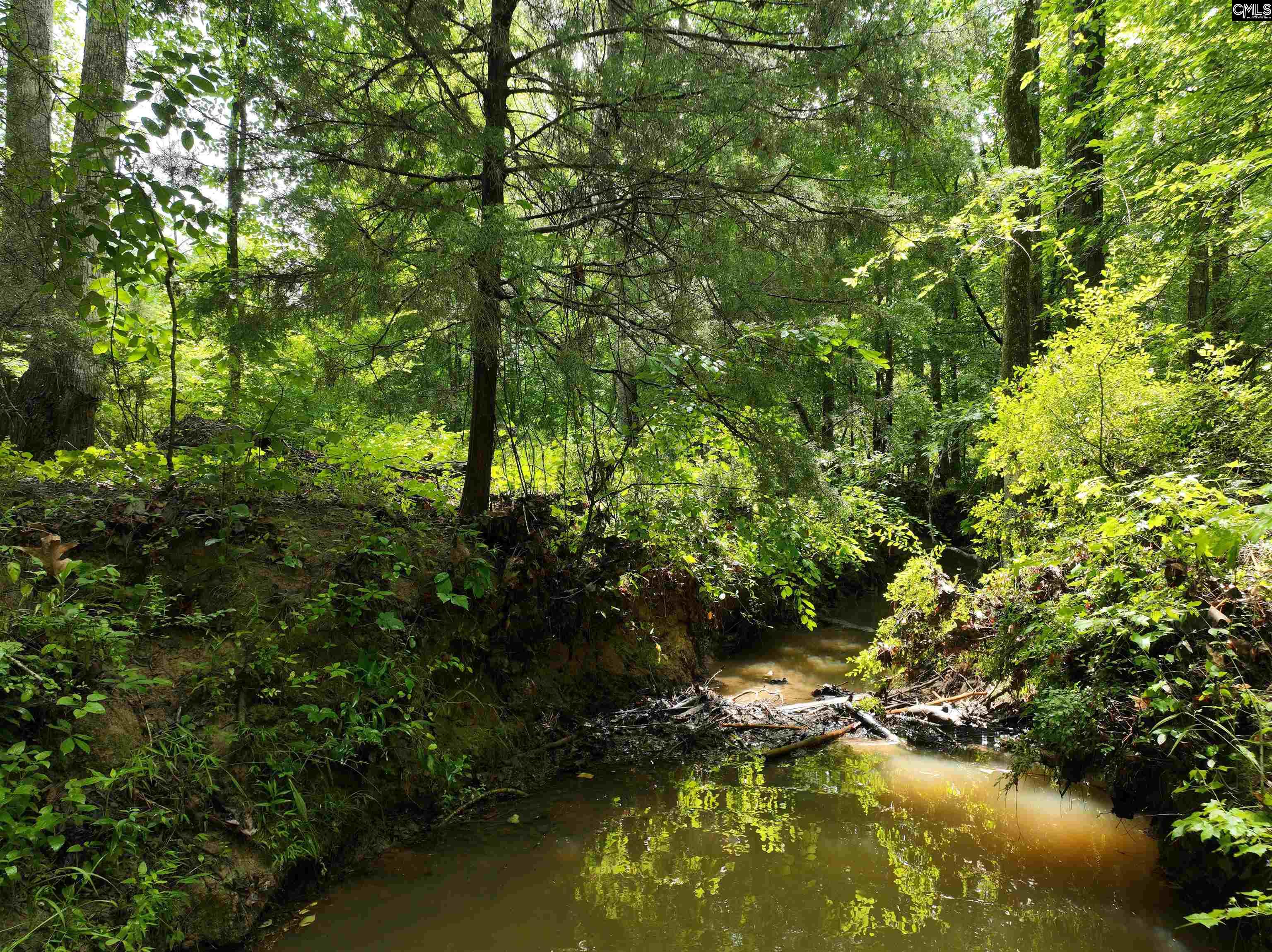 Rocky Branch Road Chapin, SC 29036