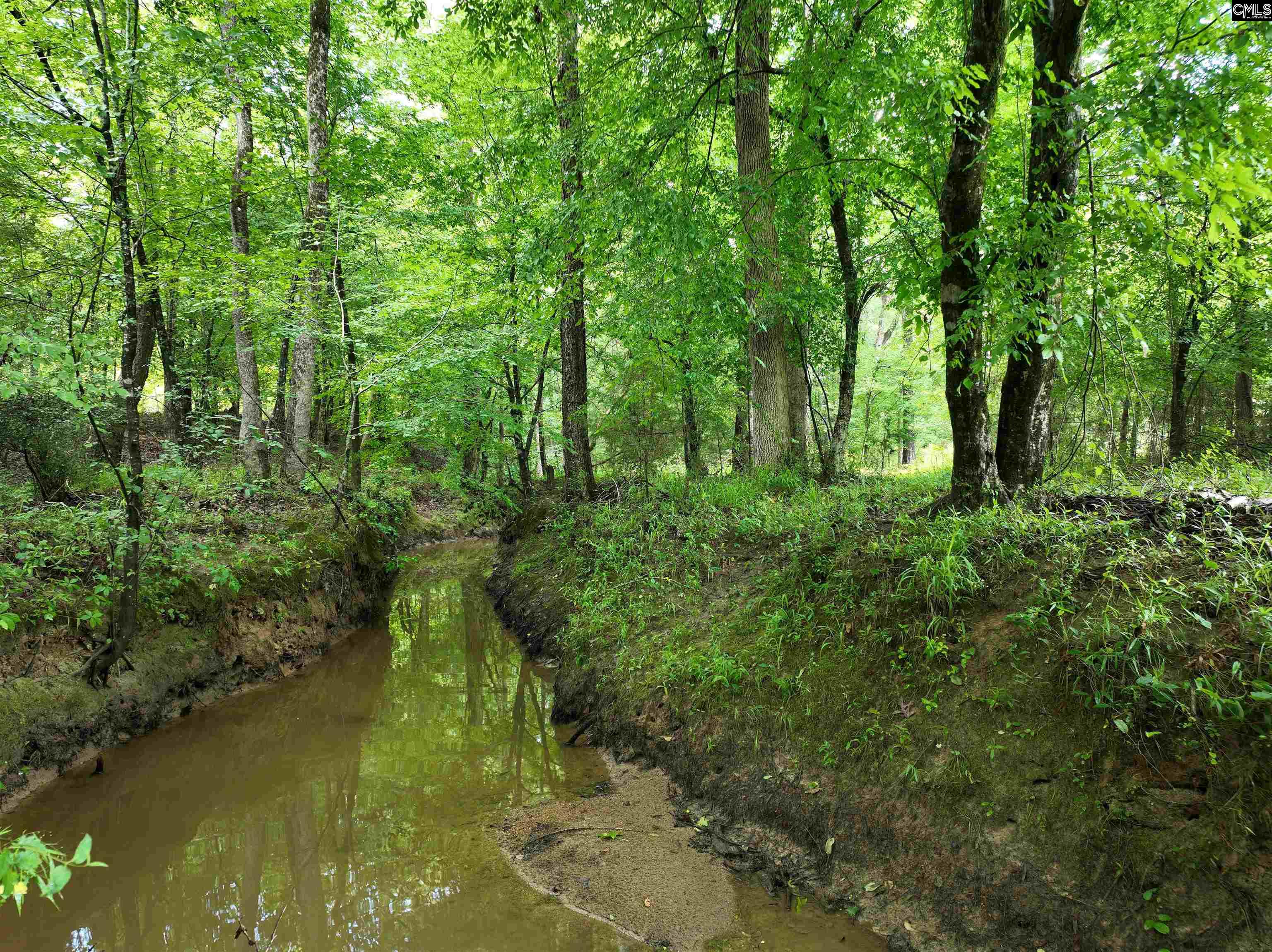 Rocky Branch Road Chapin, SC 29036