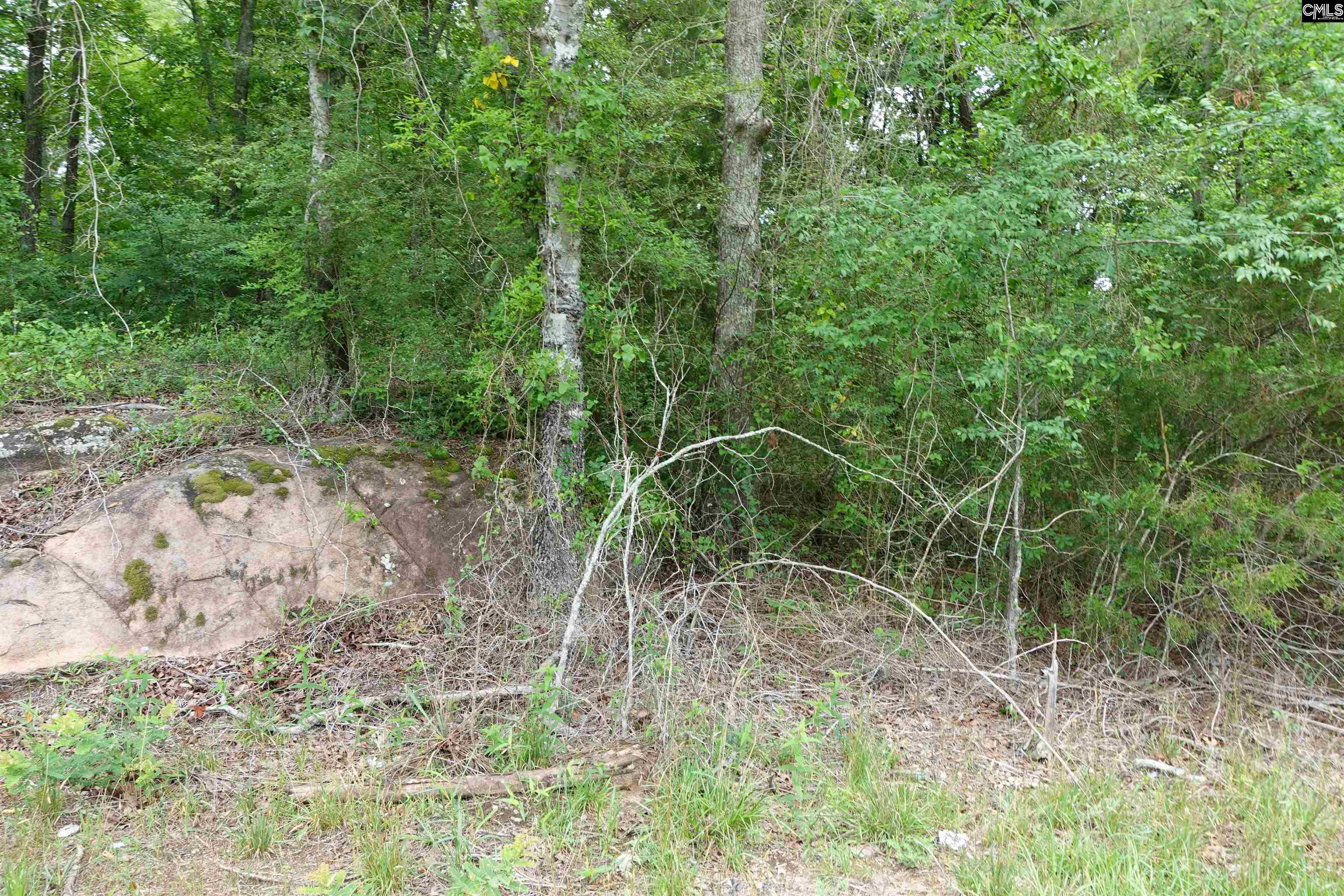 Hwy 378 Edgefield, SC 29835