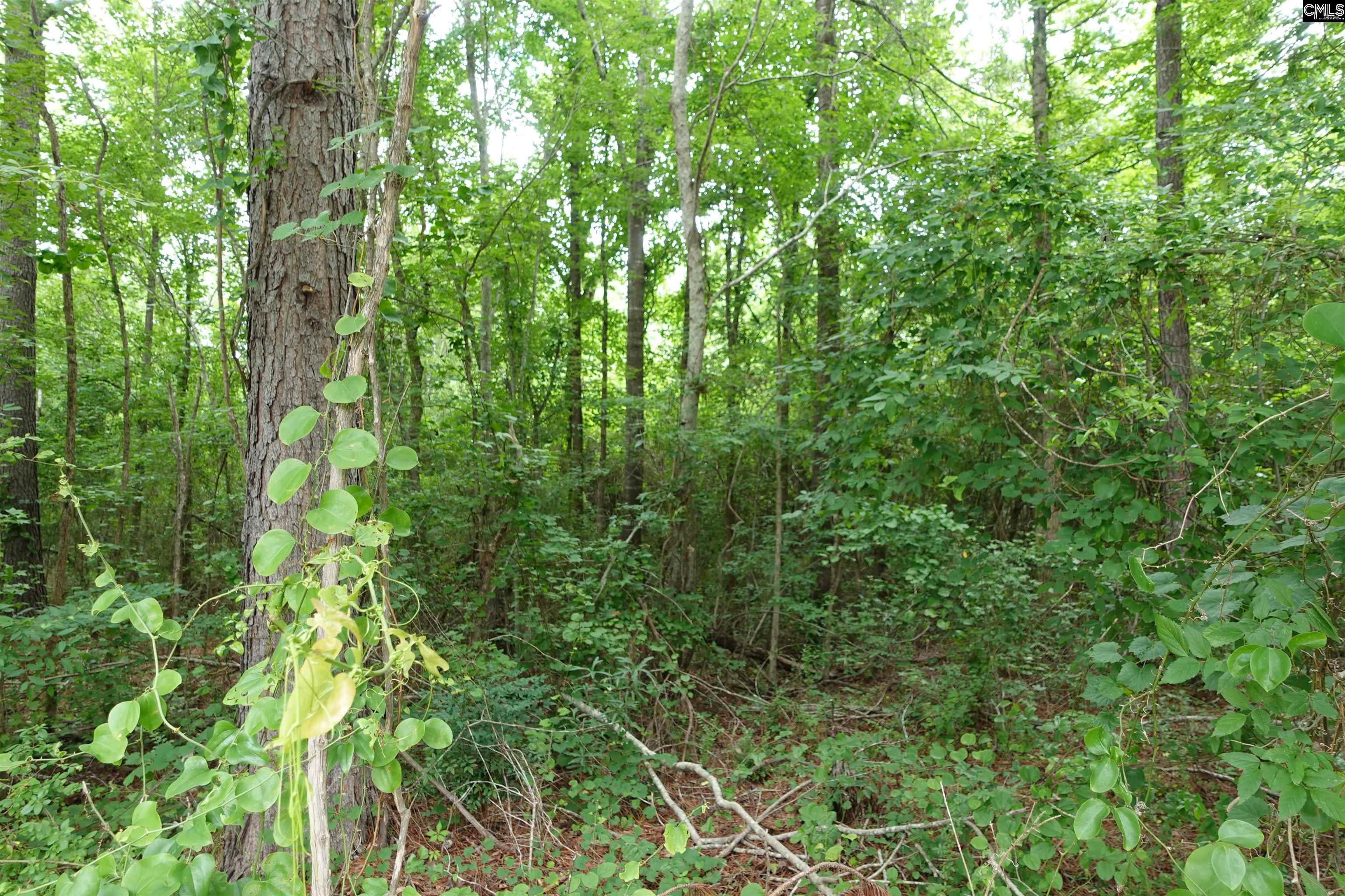 Hwy 378 Edgefield, SC 29835