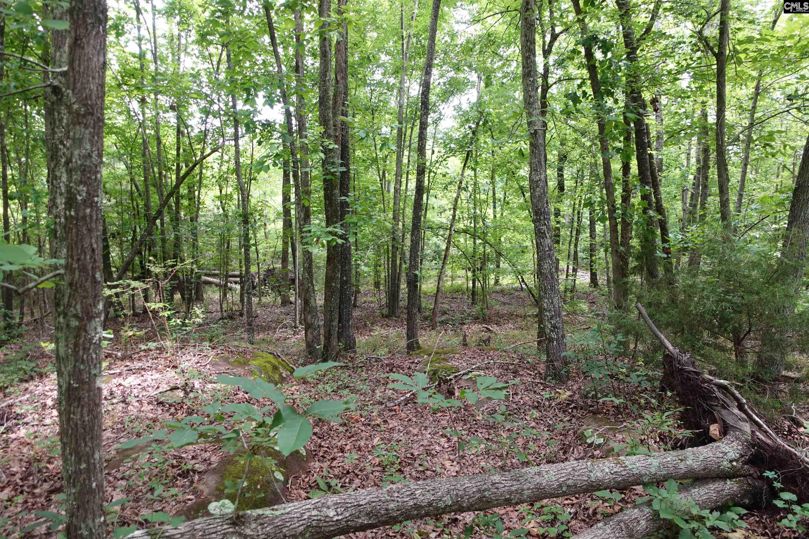 Hwy 378 Edgefield, SC 29835