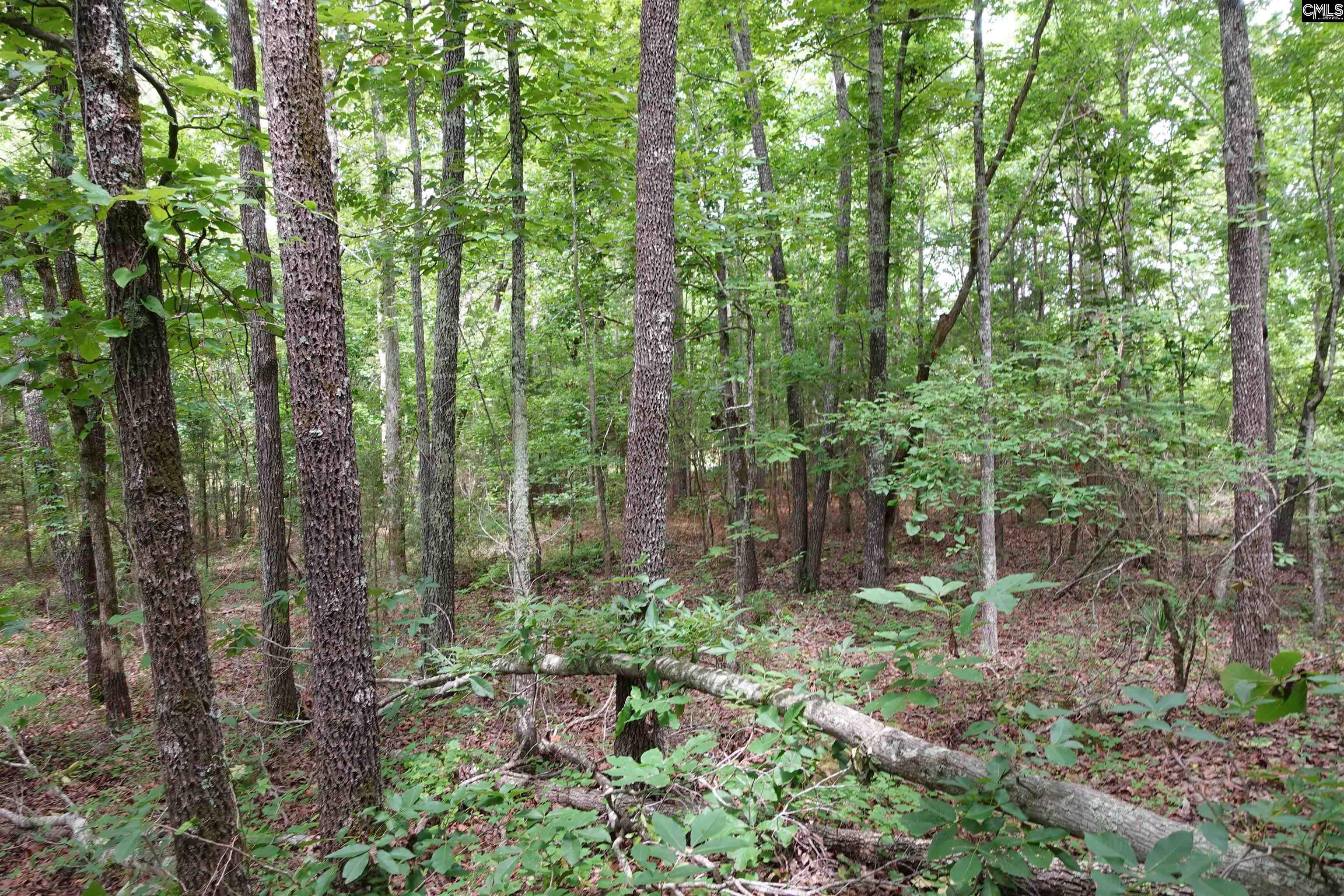 Hwy 378 Edgefield, SC 29835