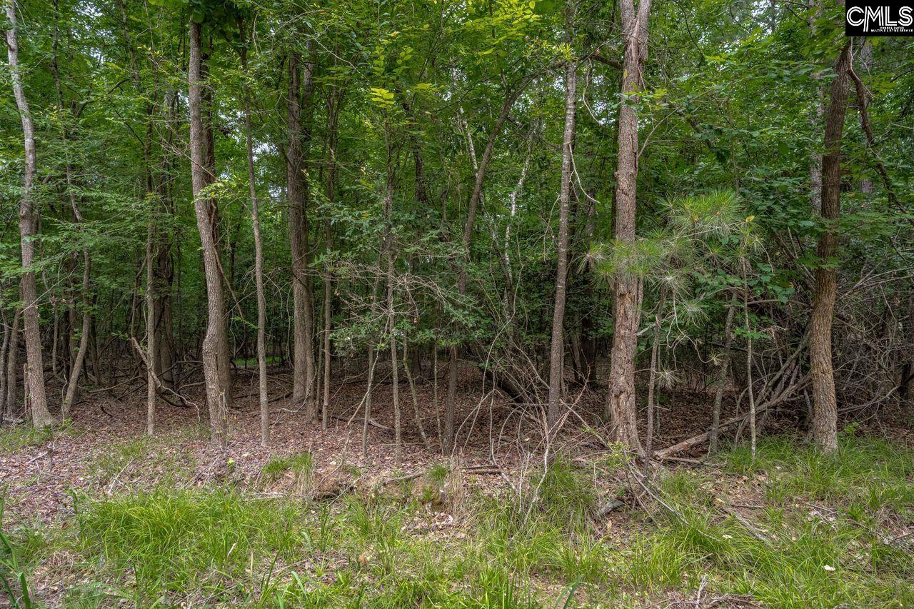 1600 Wildwood Cove Road Leesville, SC 29006