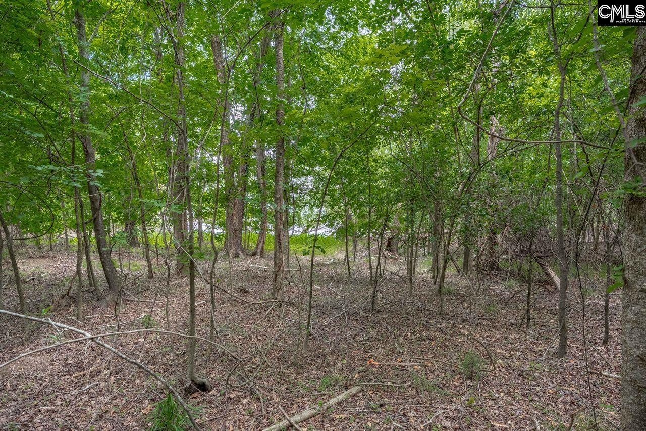 1600 Wildwood Cove Road Leesville, SC 29006