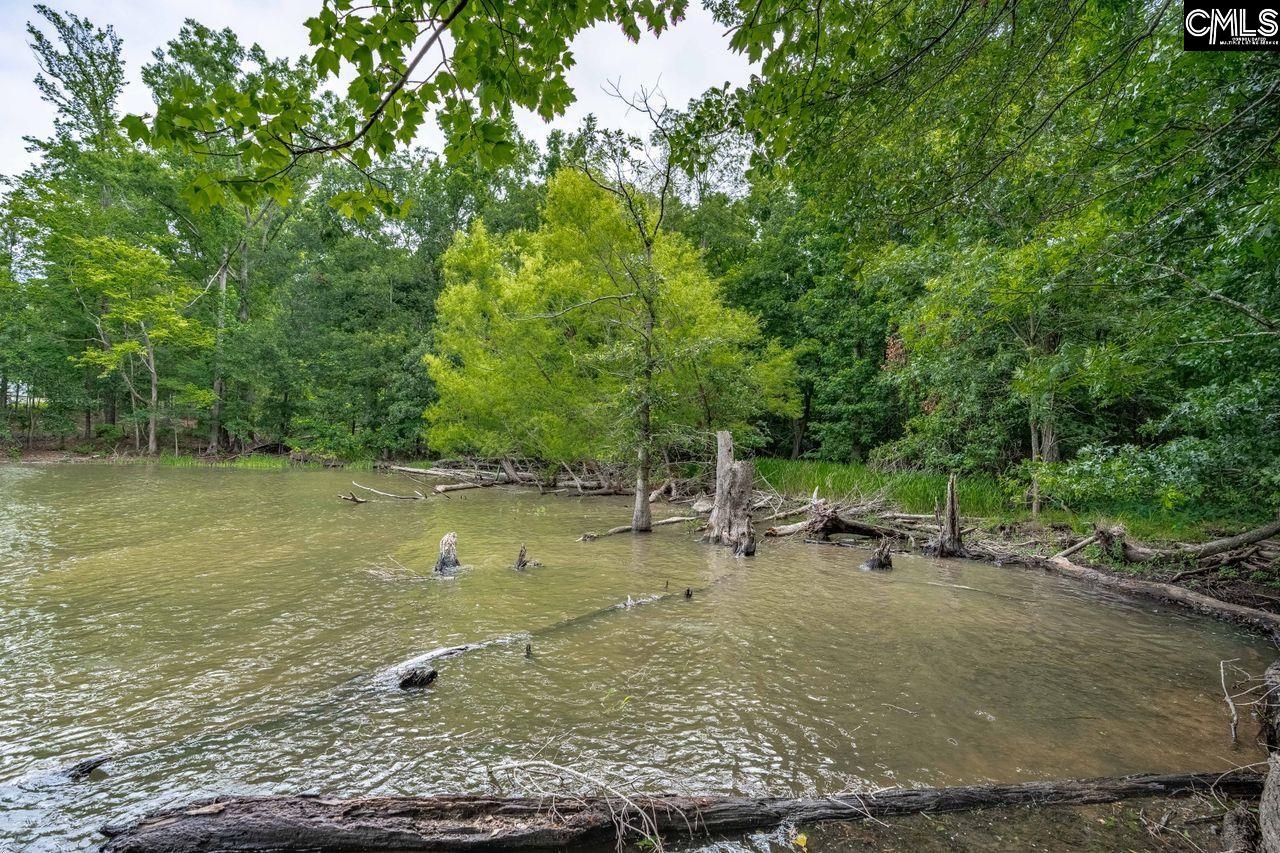 1600 Wildwood Cove Road Leesville, SC 29006