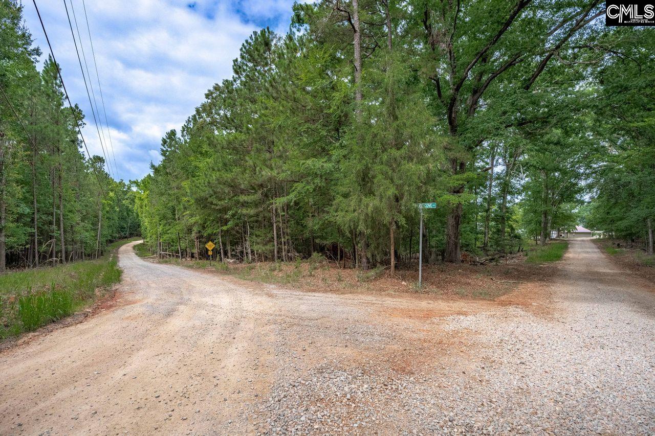 1600 Wildwood Cove Road Leesville, SC 29006