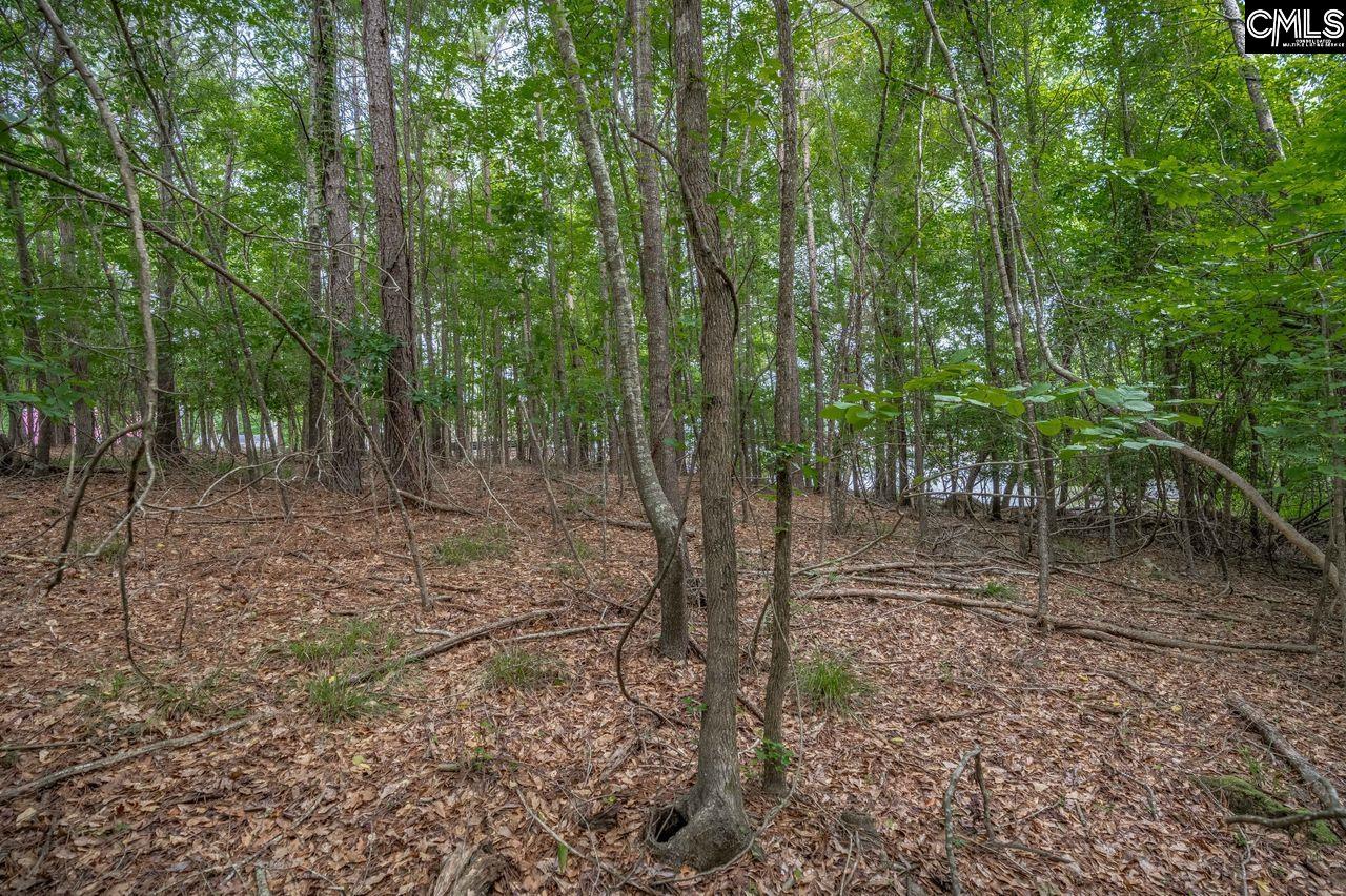1600 Wildwood Cove Road Leesville, SC 29006