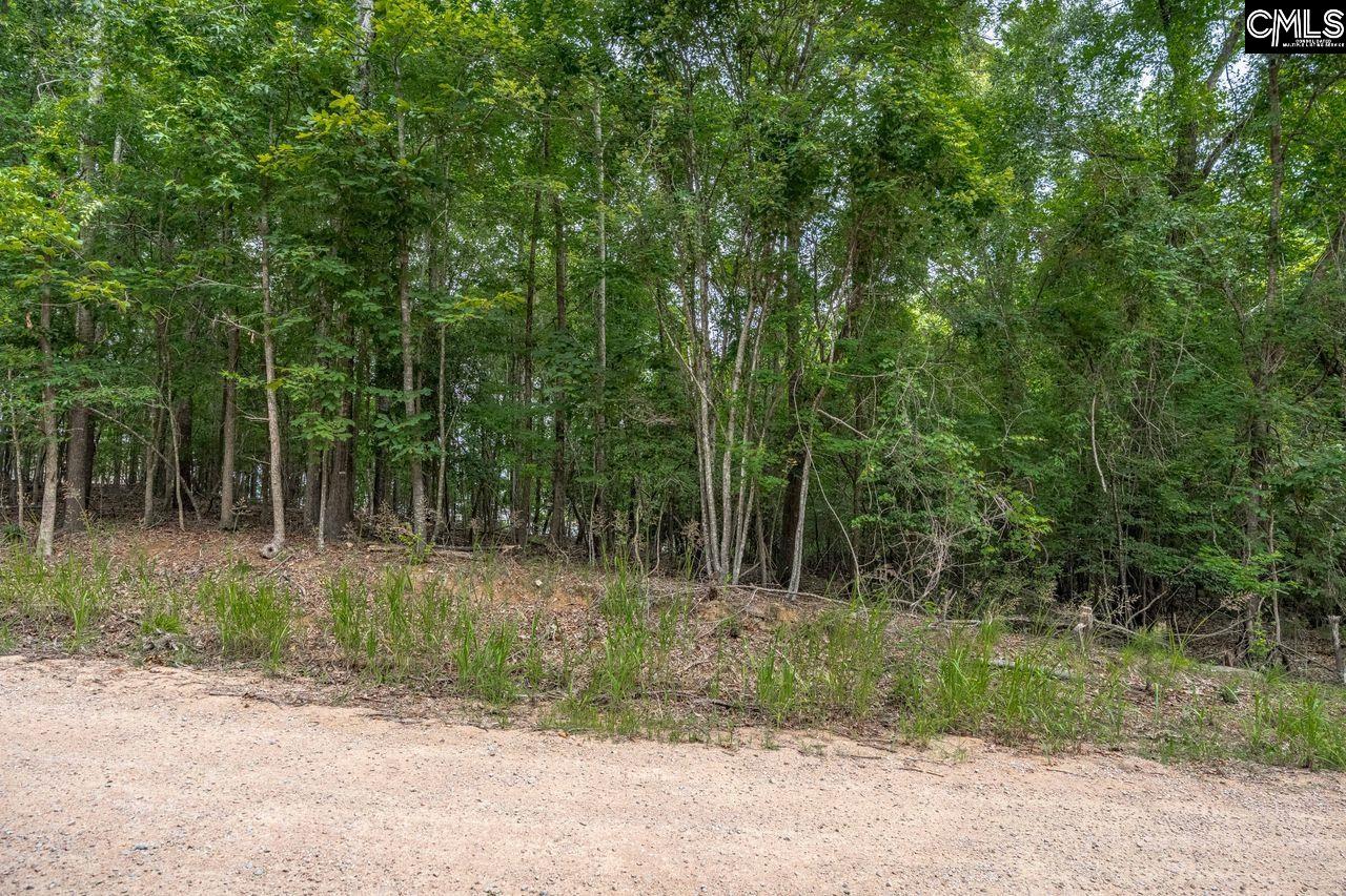 1600 Wildwood Cove Road Leesville, SC 29006