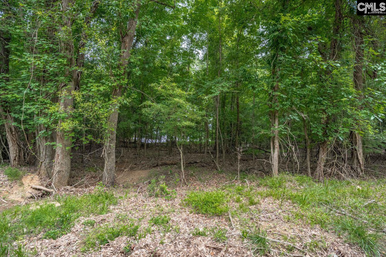 1600 Wildwood Cove Road Leesville, SC 29006