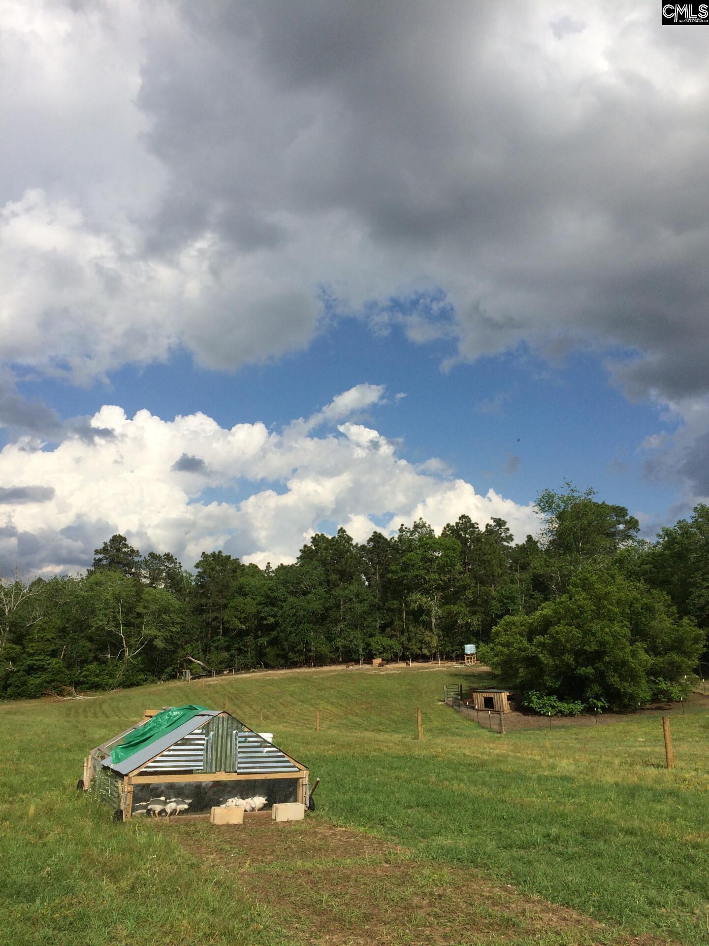 1860 Martin Smith Road Leesville, SC 29070