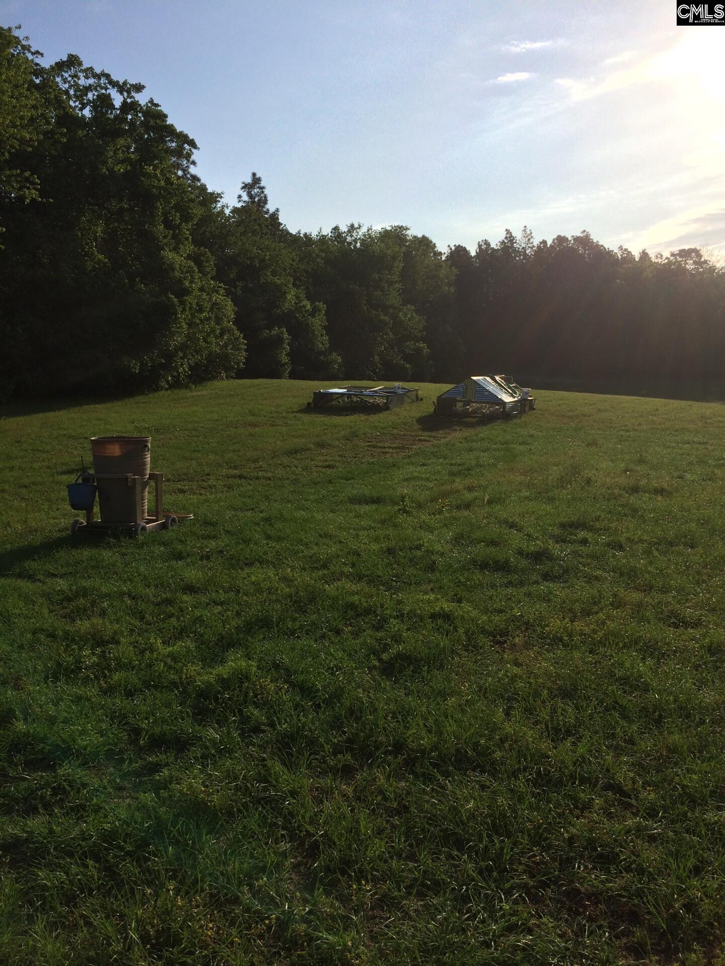 1860 Martin Smith Road Leesville, SC 29070