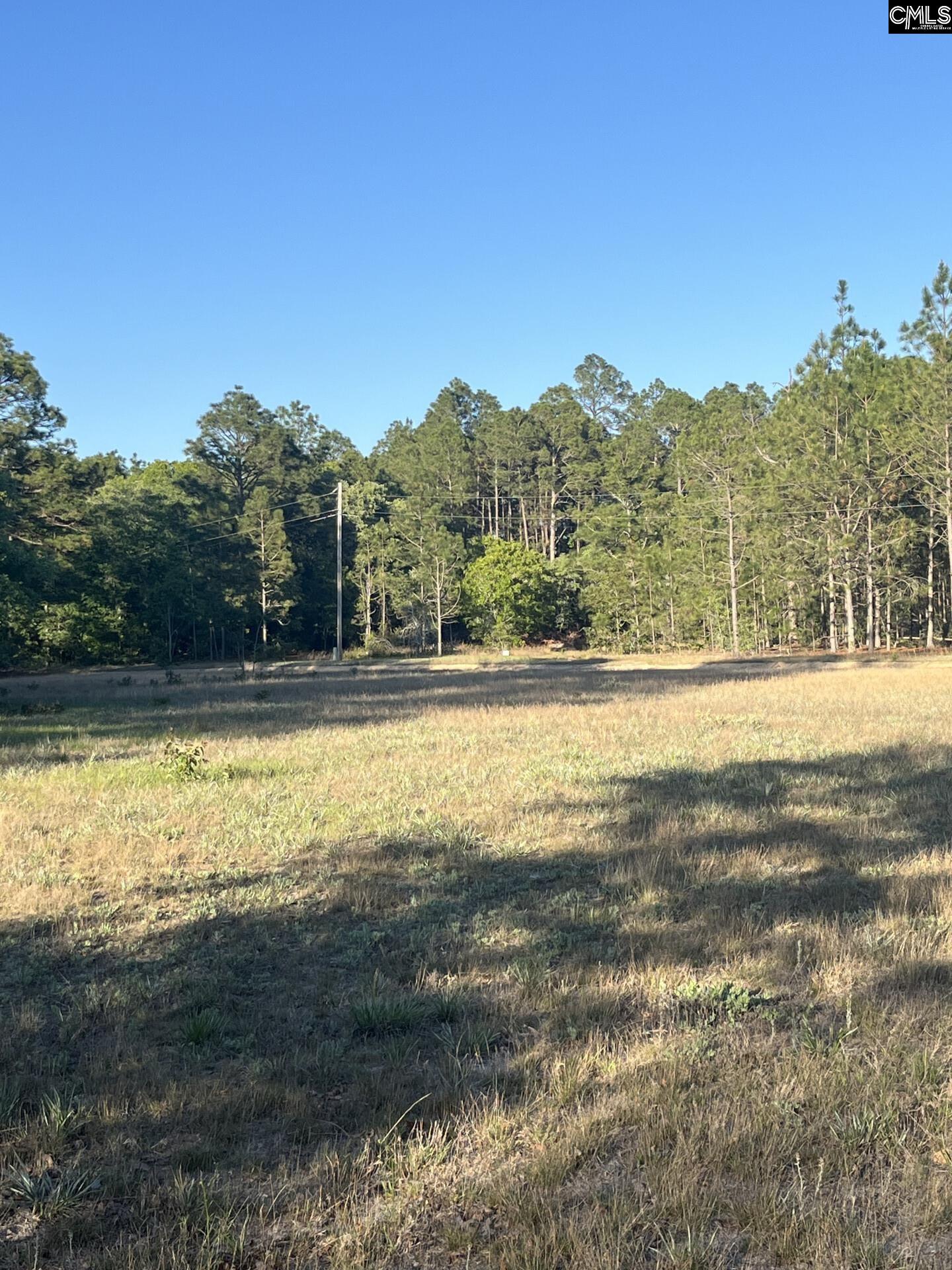 1860 Martin Smith Road Leesville, SC 29070