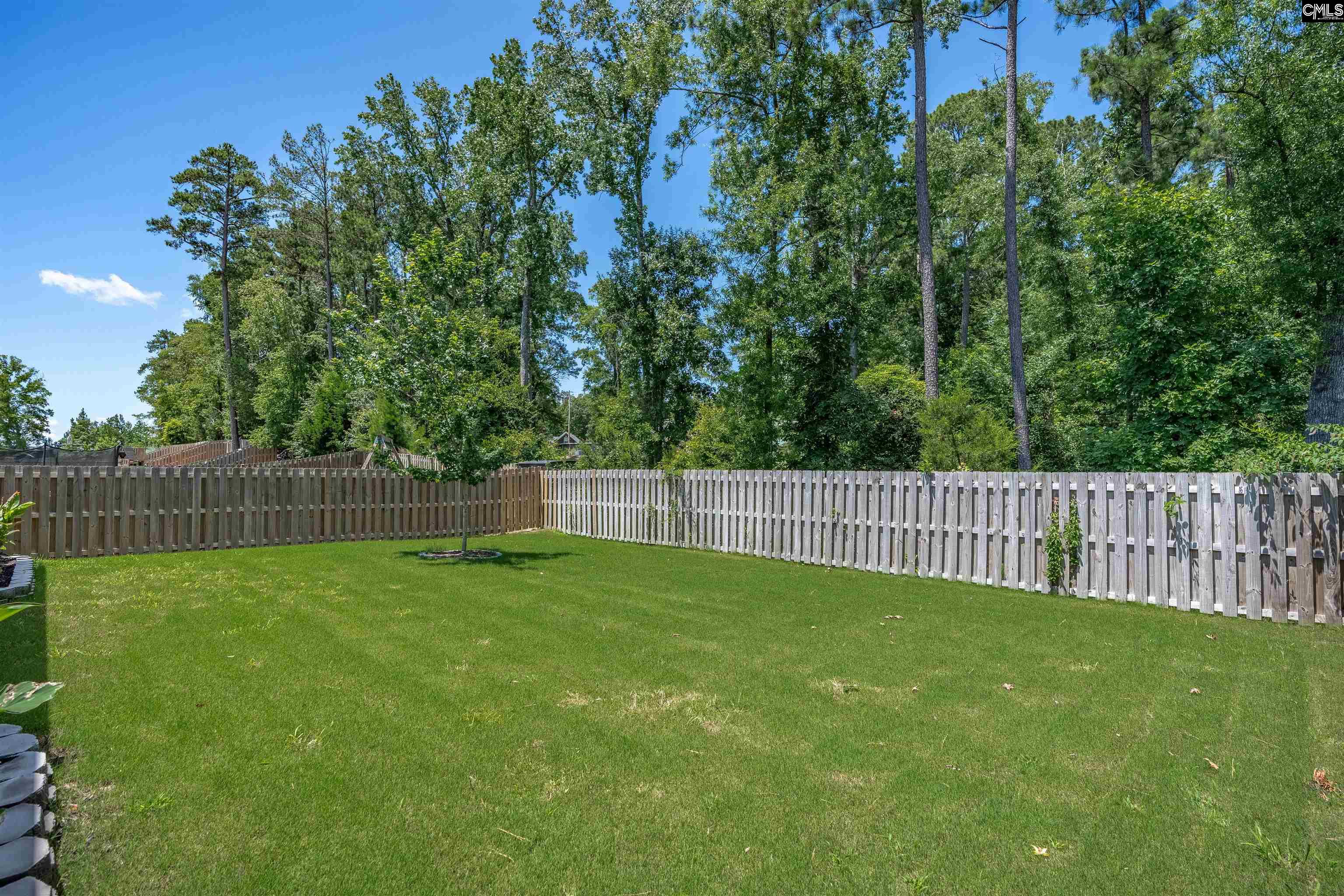 329 Sycamore Crest Way Chapin, SC 29036