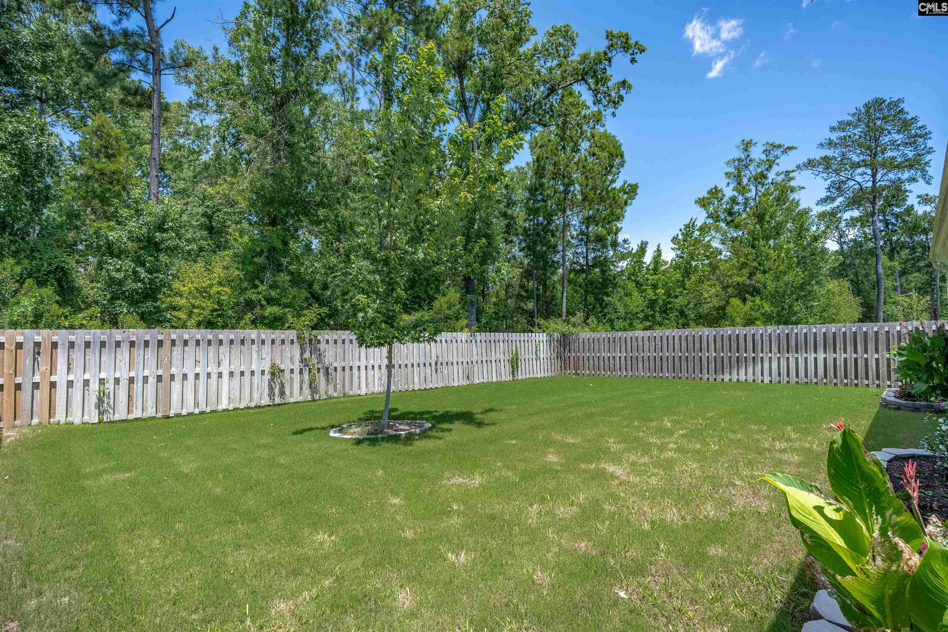 329 Sycamore Crest Way Chapin, SC 29036