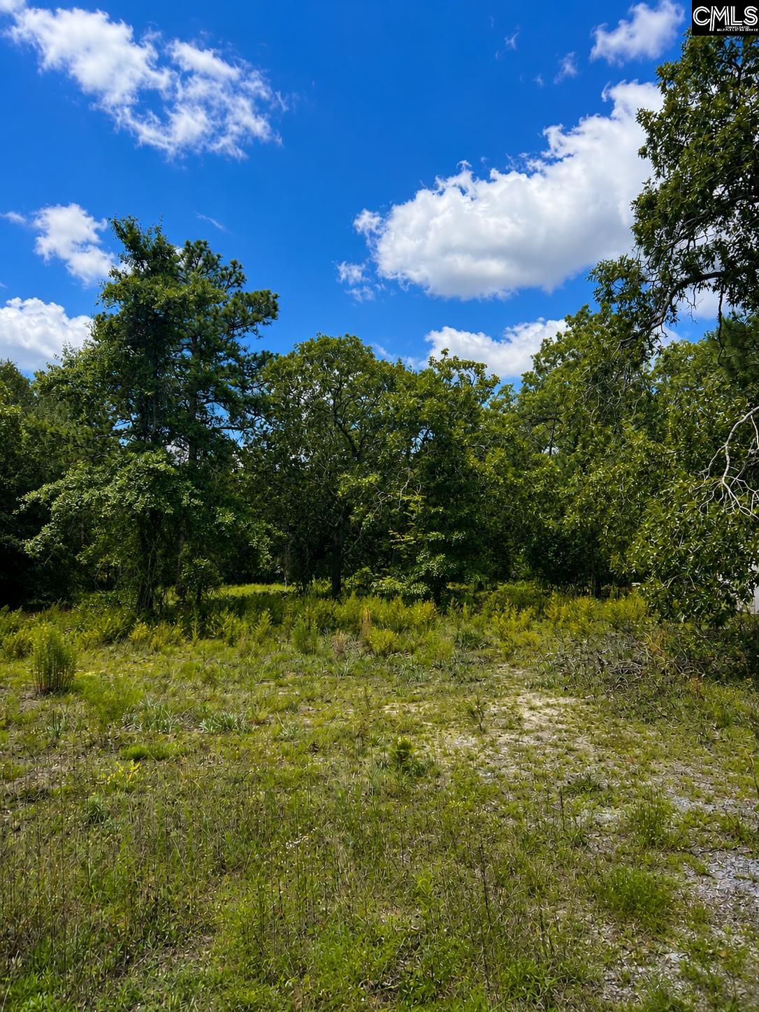 1778 Providence Road Orangeburg, SC 29118