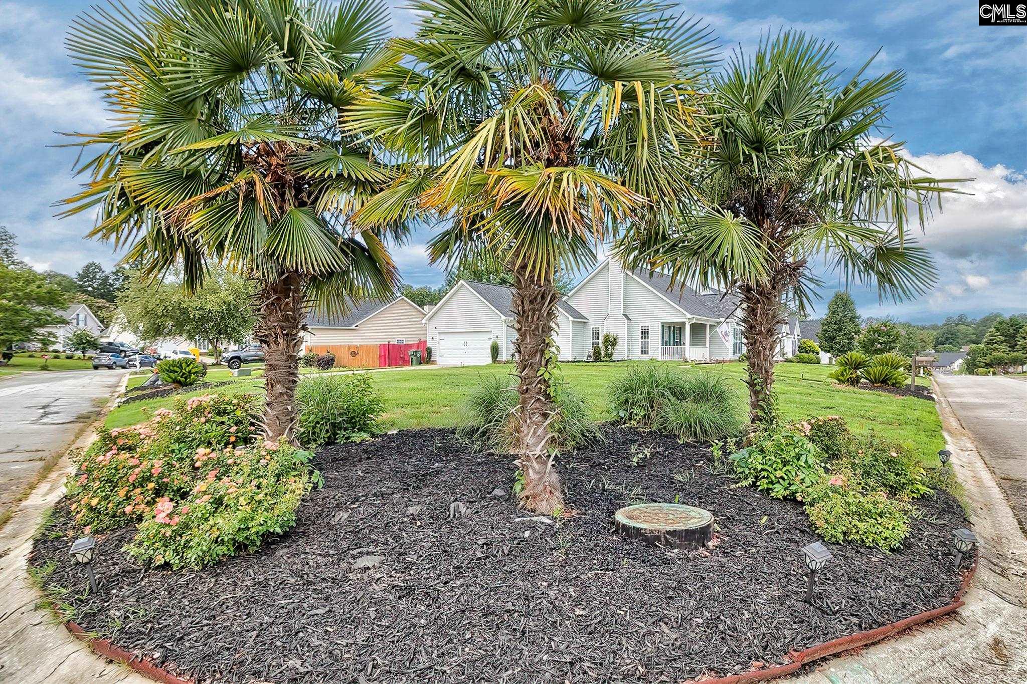 3 Walnut Grove Way Irmo, SC 29063