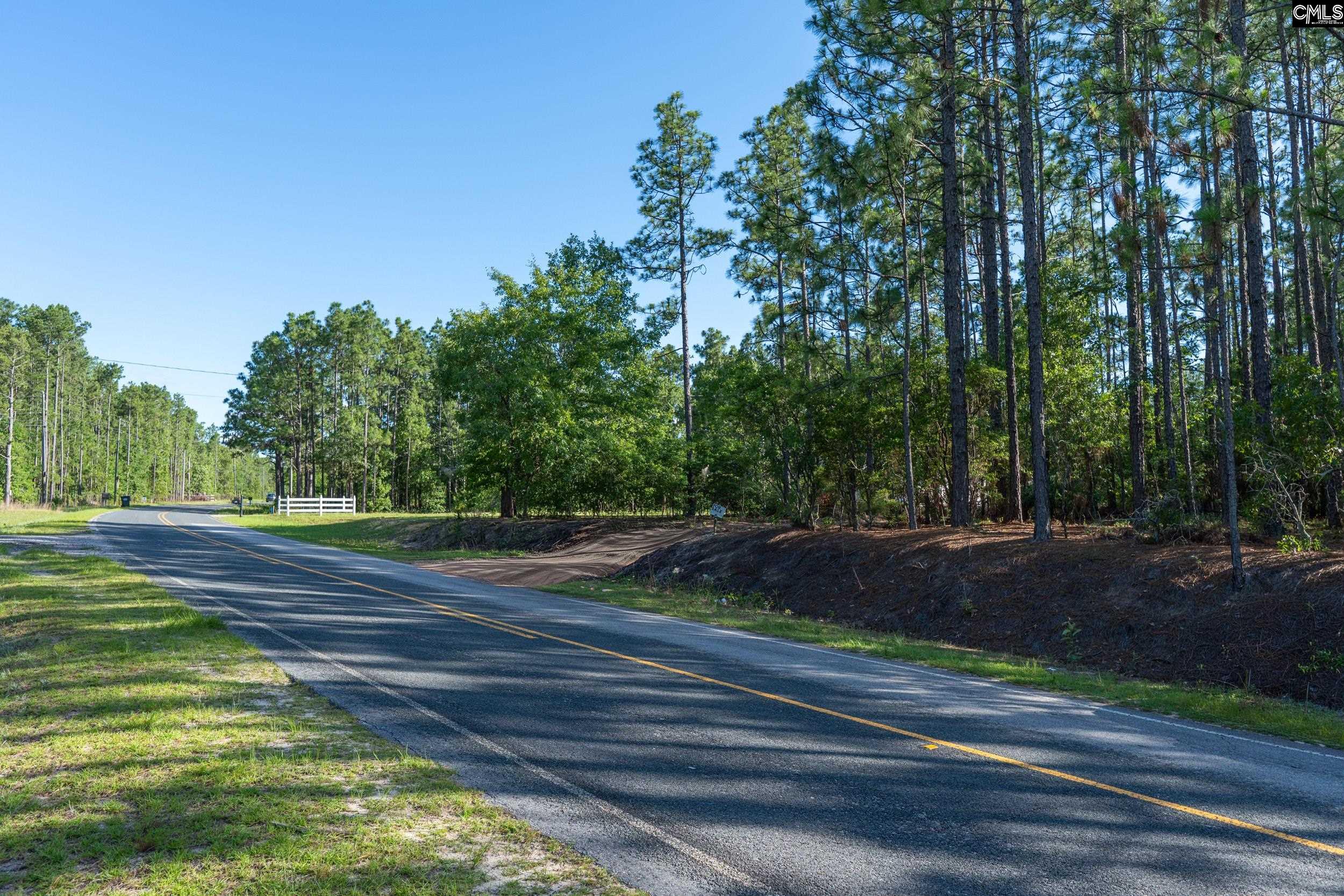 Pine Plain Road Gaston, SC 29053