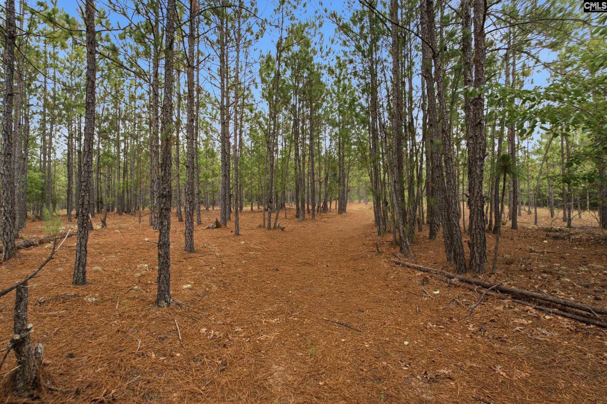 3390 Hunter Road Kershaw, SC 29067
