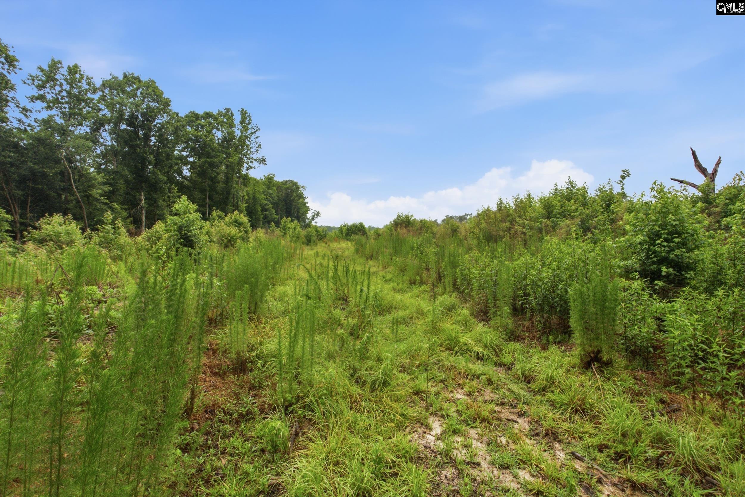 3390 Hunter Road Kershaw, SC 29067