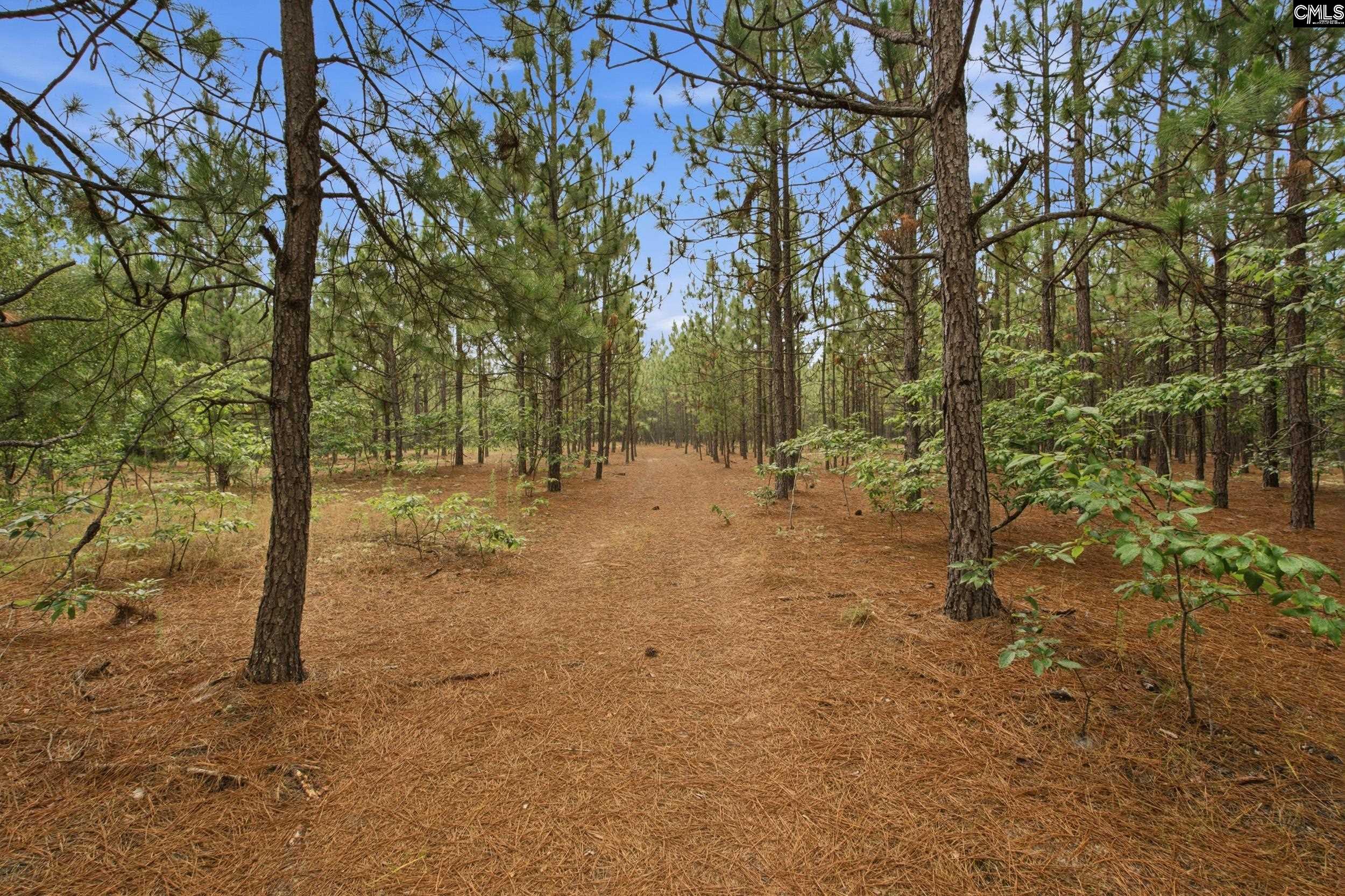 3390 Hunter Road Kershaw, SC 29067