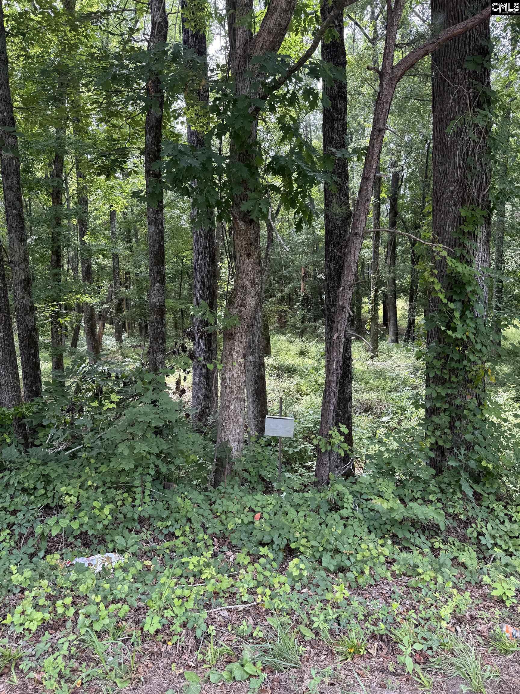 1409 Mullis Road Blythewood, SC 29016