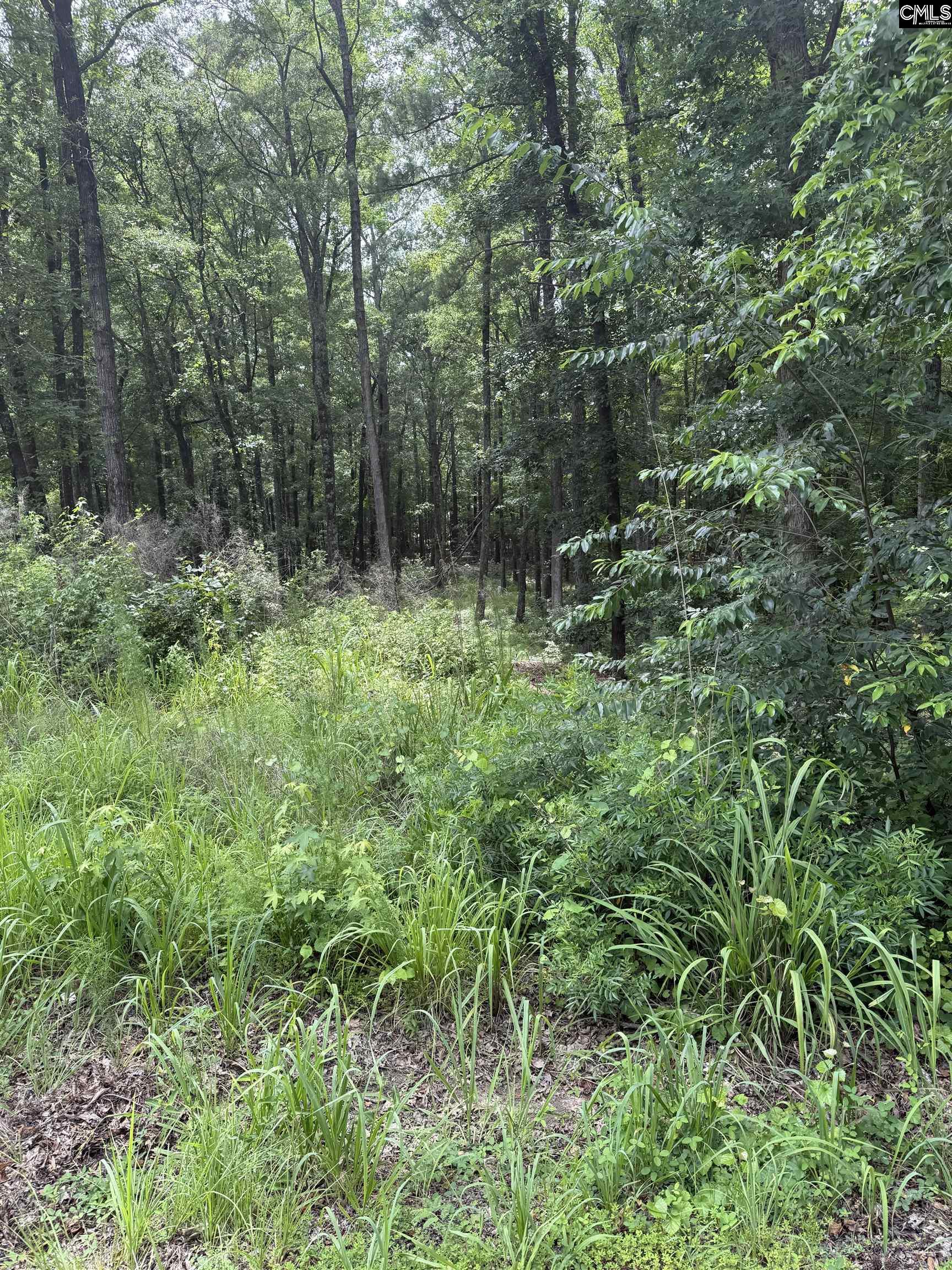1409 Mullis Road Blythewood, SC 29016
