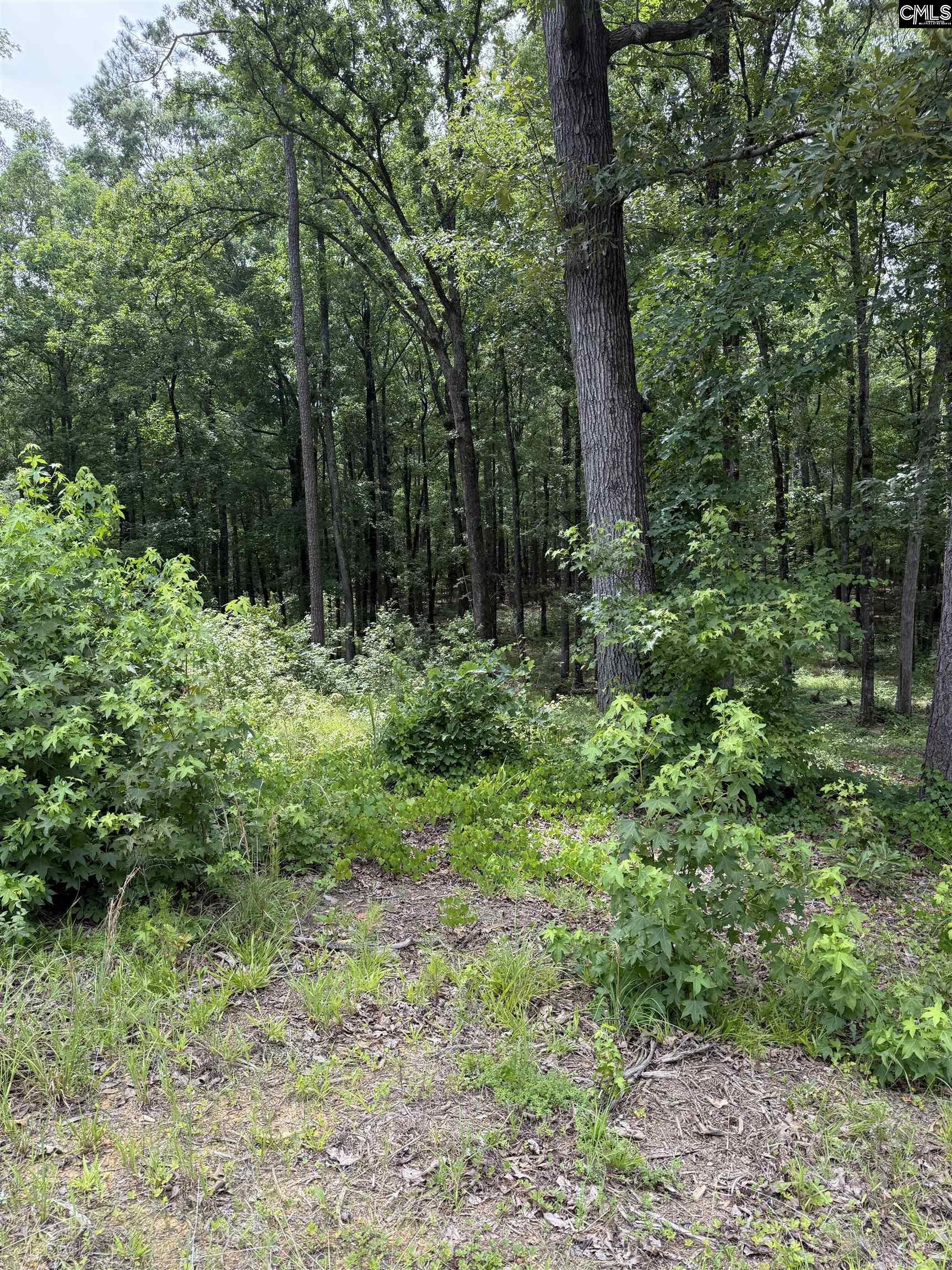1405 Mullis Road Blythewood, SC 29016