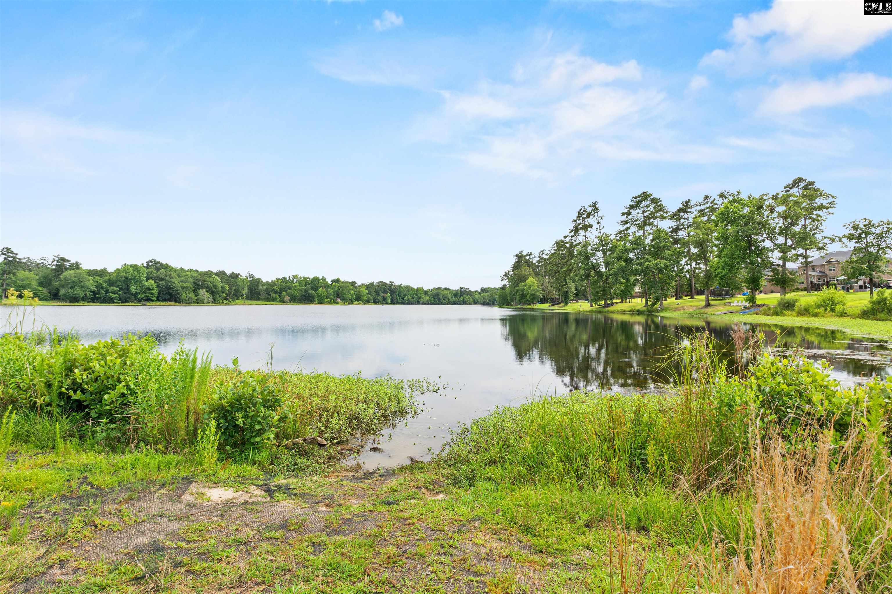 506 Litchfield Lane Lexington, SC 29072