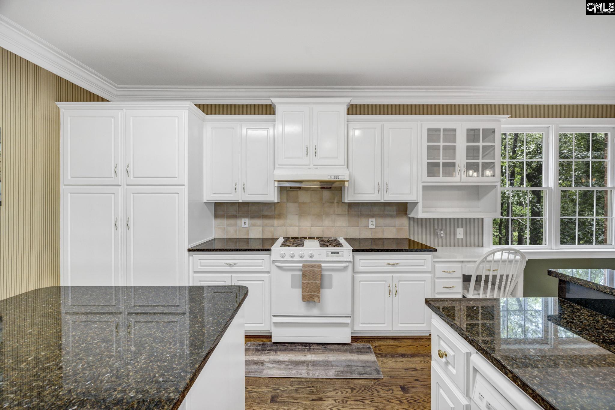 448 Lookover Pointe Drive Chapin, SC 29036