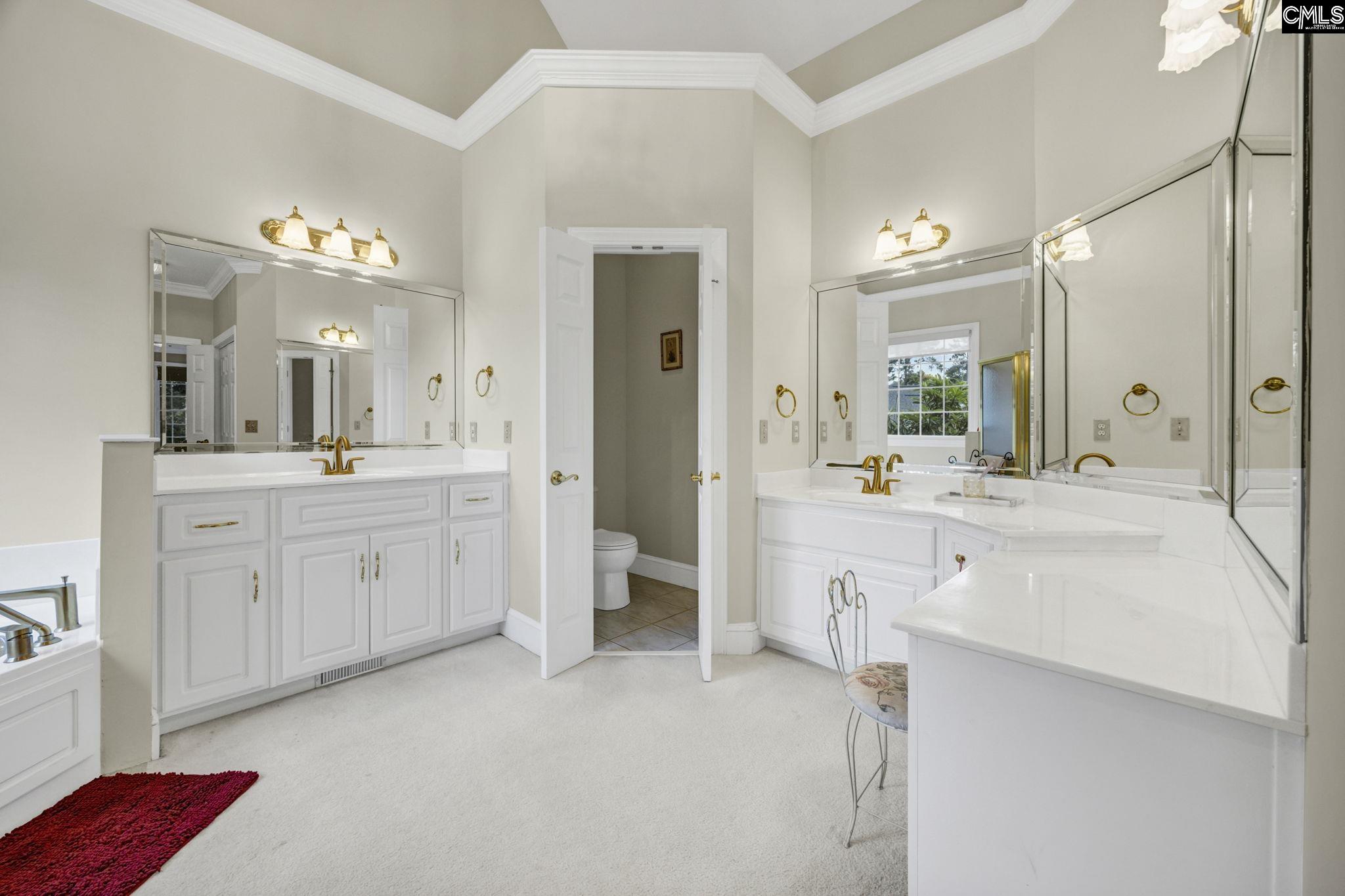 448 Lookover Pointe Drive Chapin, SC 29036