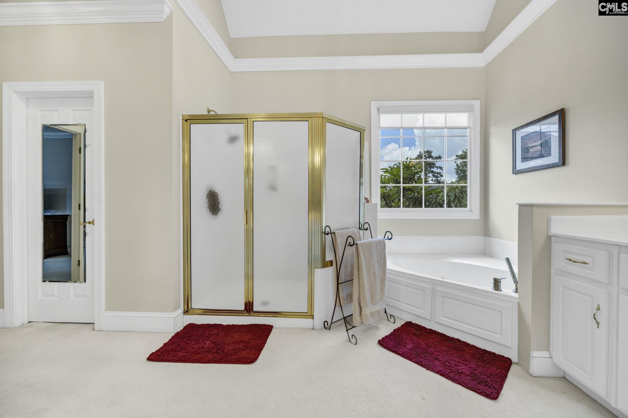 448 Lookover Pointe Drive Chapin, SC 29036
