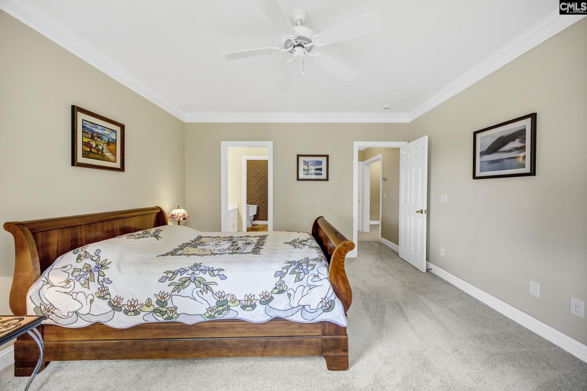 448 Lookover Pointe Drive Chapin, SC 29036