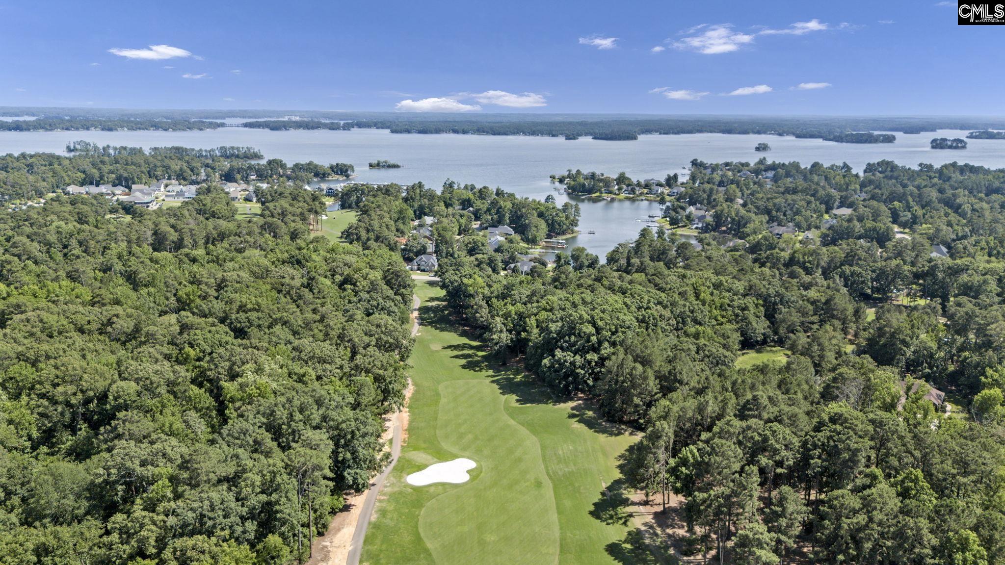 448 Lookover Pointe Drive Chapin, SC 29036