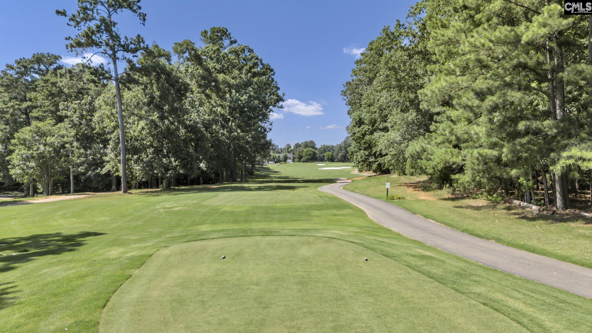 448 Lookover Pointe Drive Chapin, SC 29036