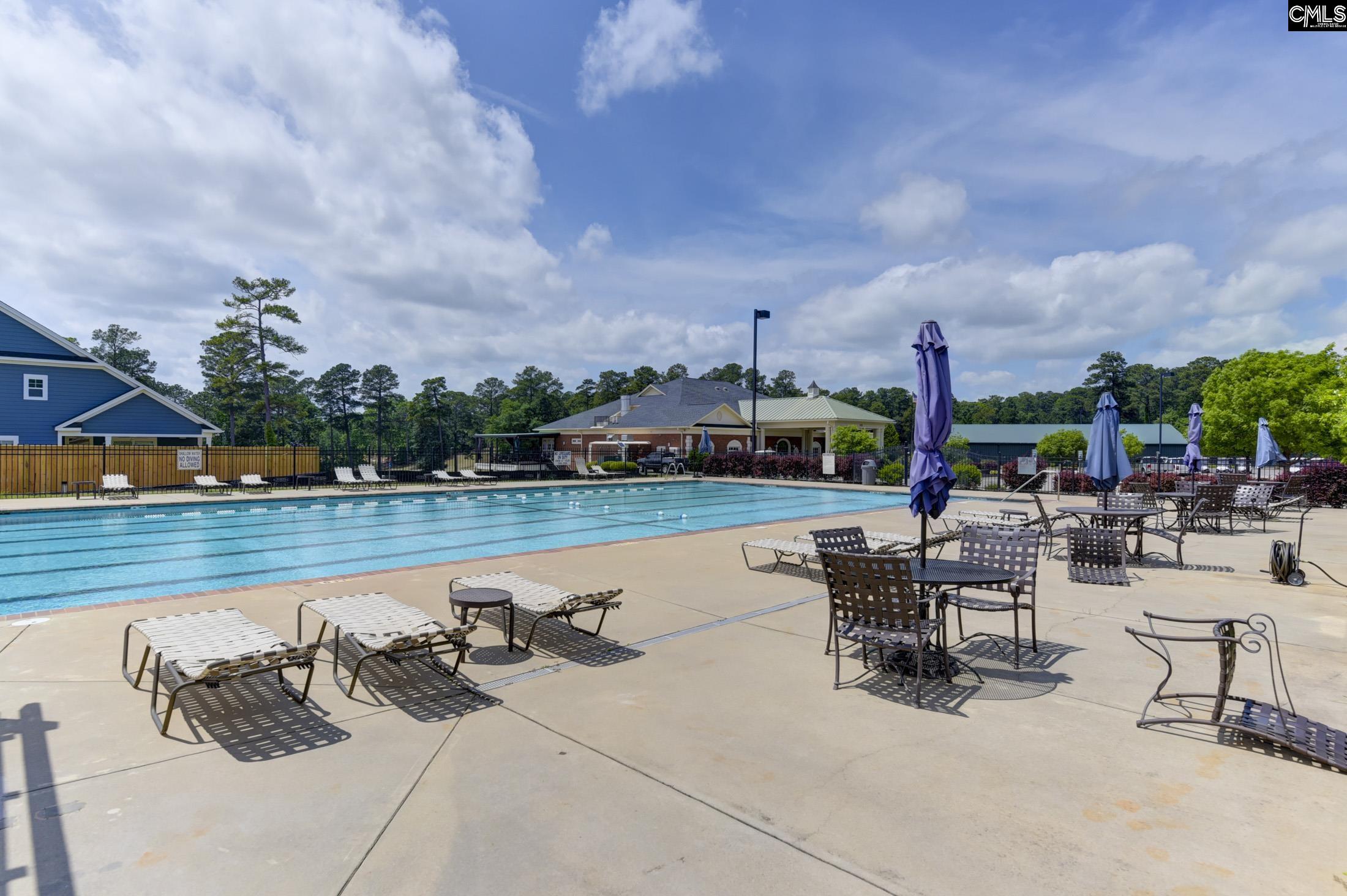 448 Lookover Pointe Drive Chapin, SC 29036