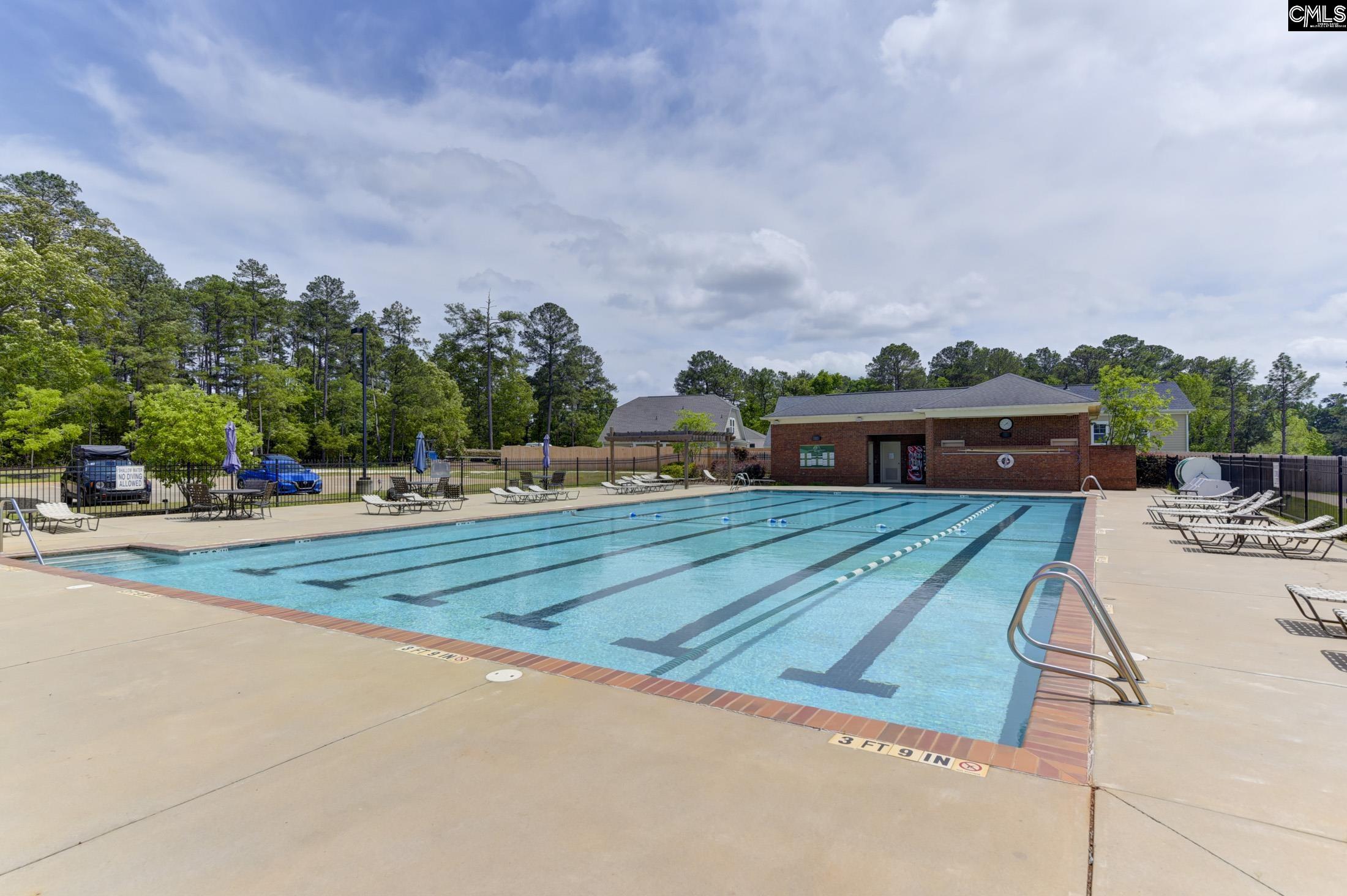 448 Lookover Pointe Drive Chapin, SC 29036