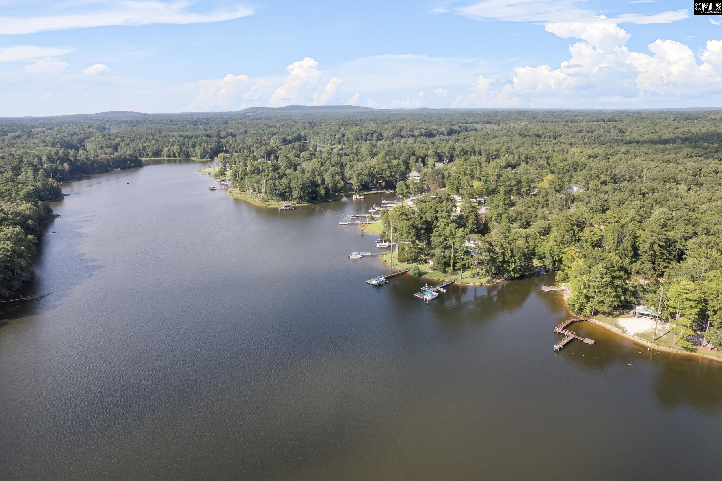 451 Smallwood Drive Chapin, SC 29036