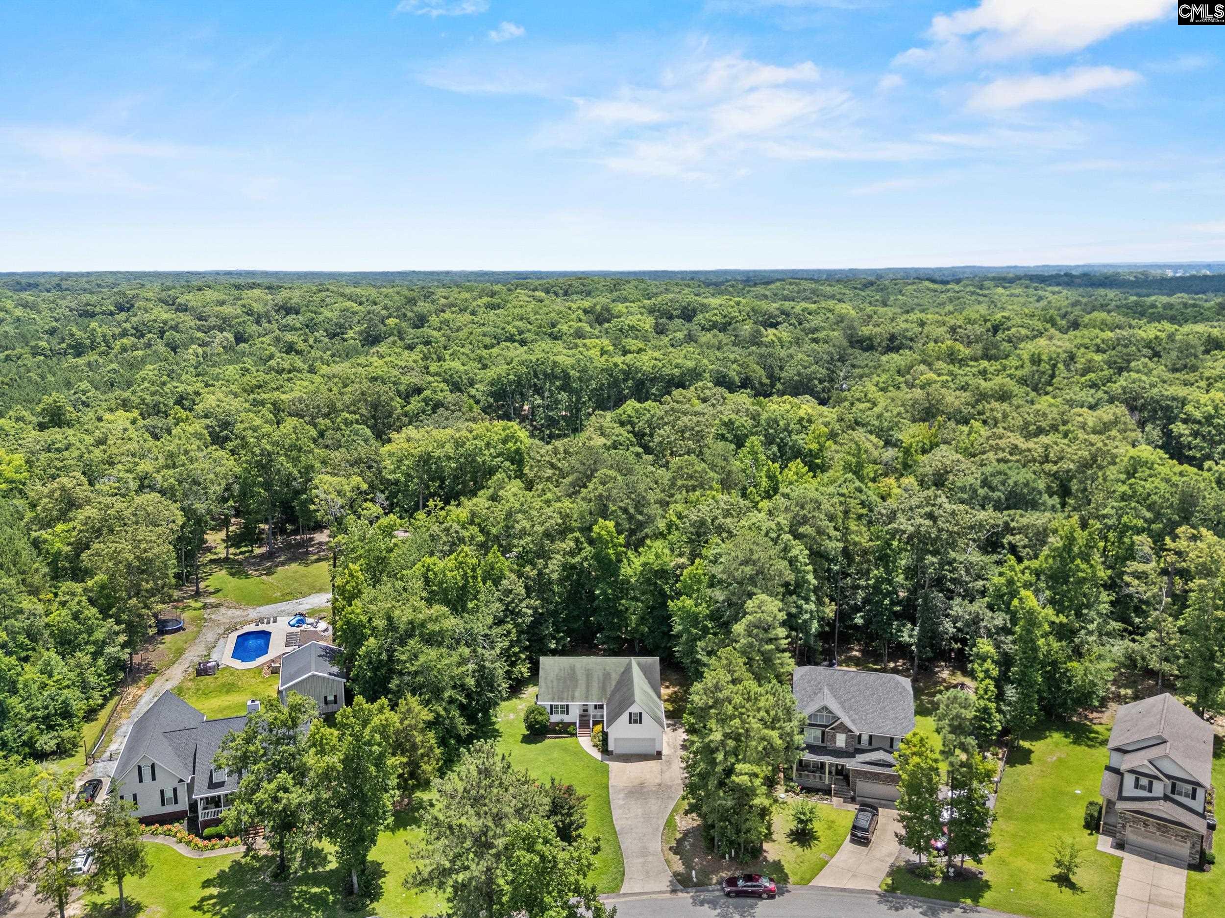 451 Smallwood Drive Chapin, SC 29036