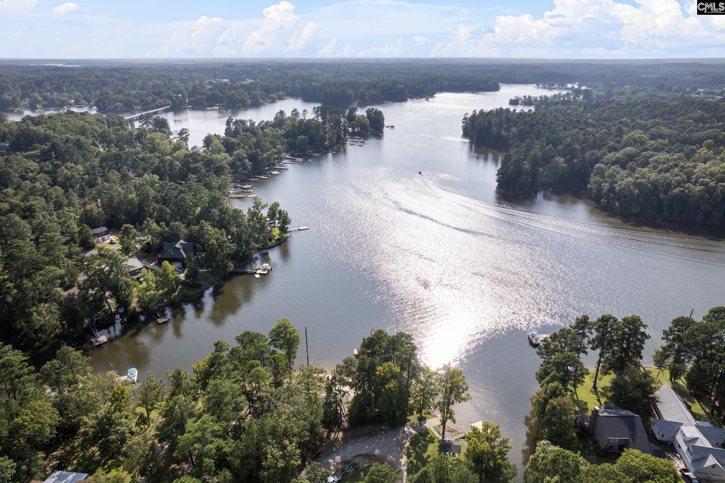 451 Smallwood Drive Chapin, SC 29036