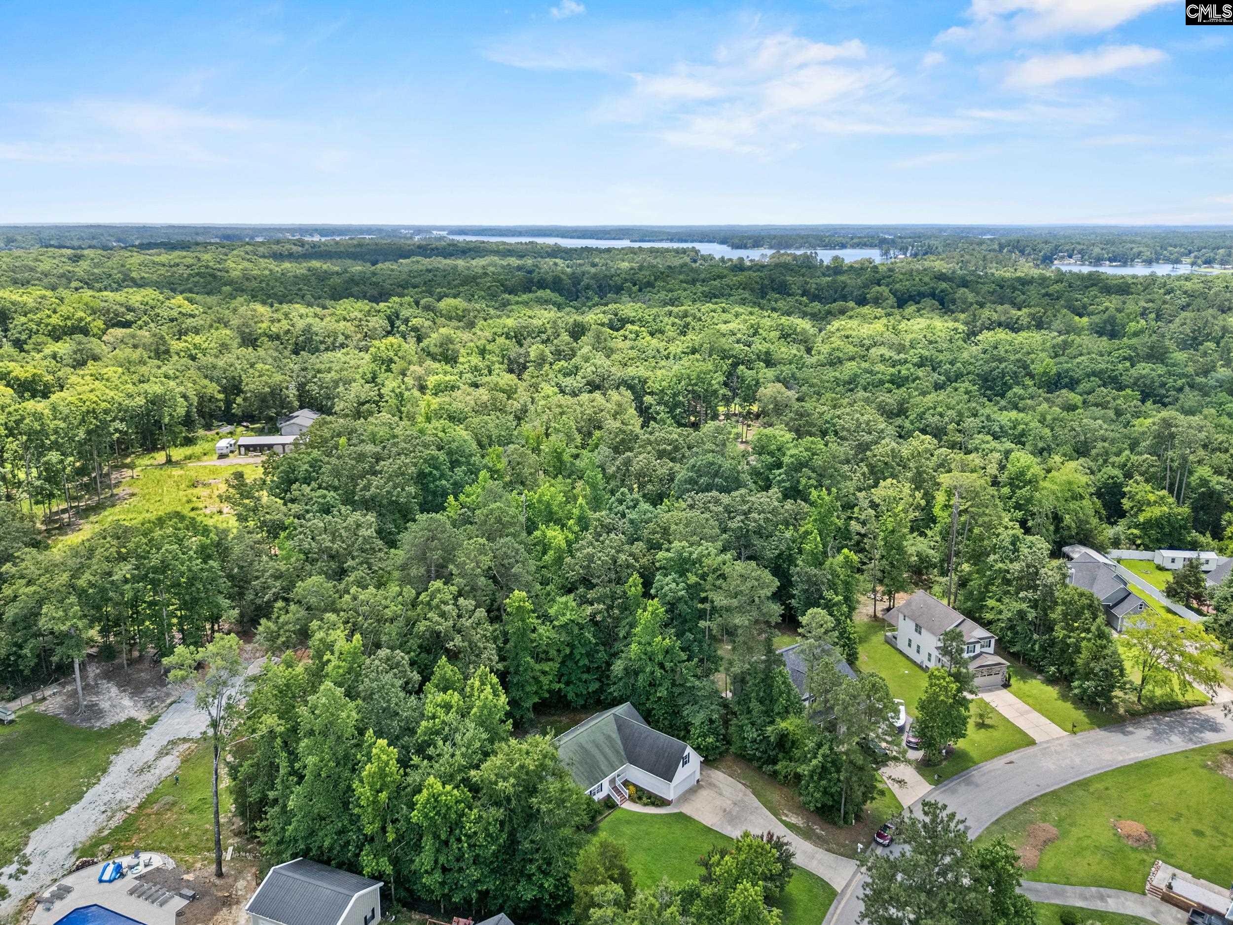 451 Smallwood Drive Chapin, SC 29036
