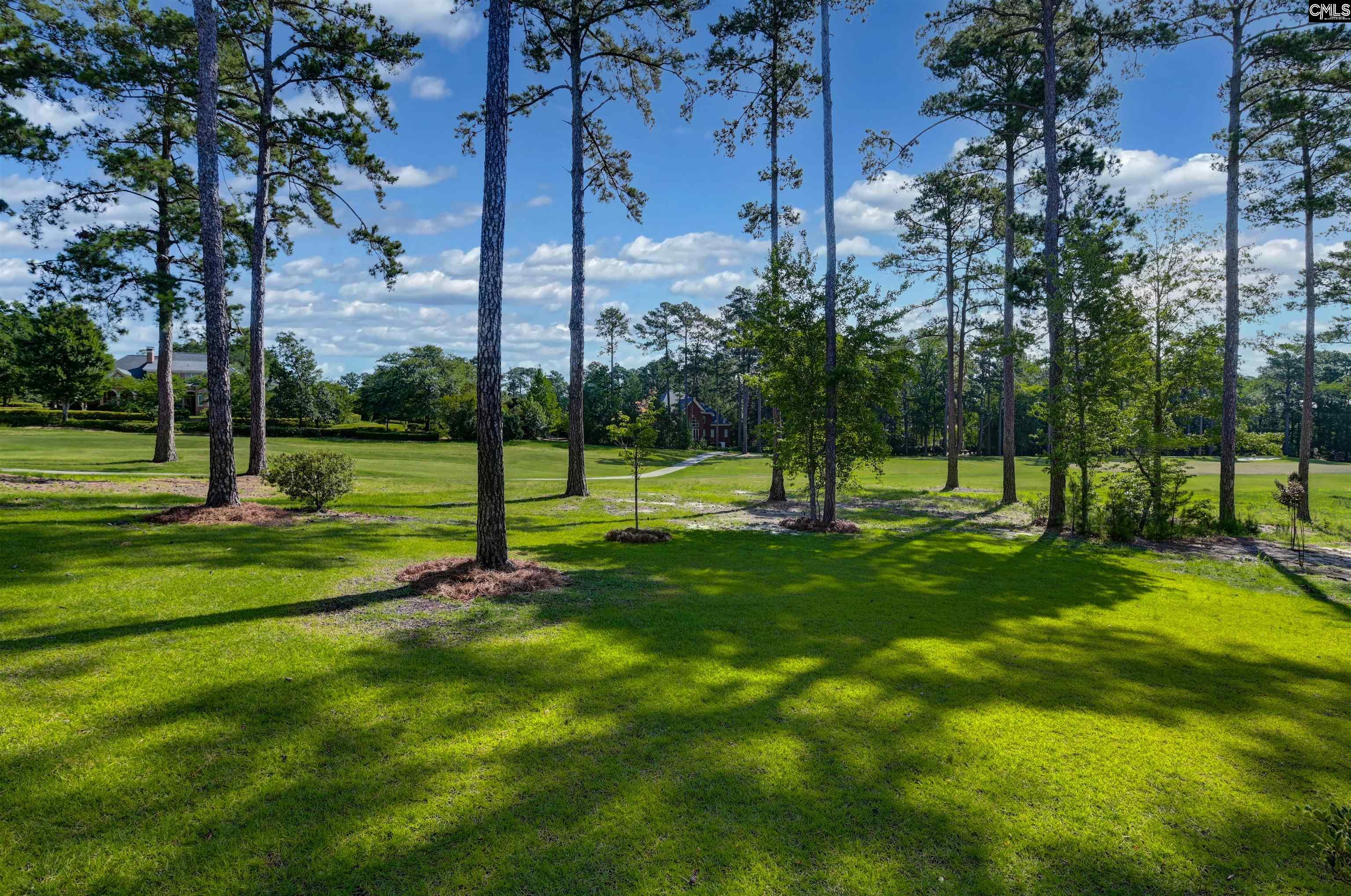 331 E Arrowleaf Lane Elgin, SC 29045