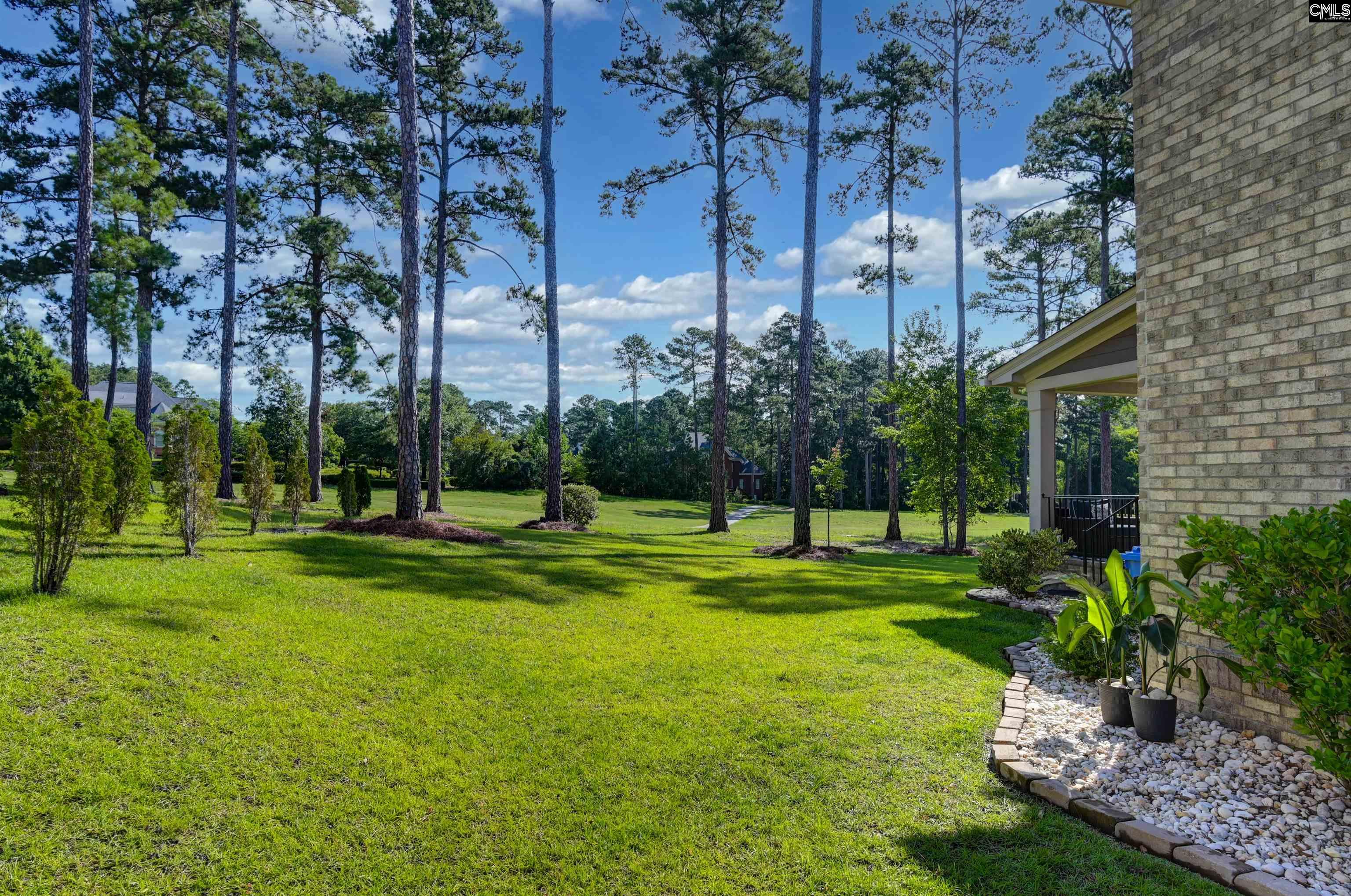 331 E Arrowleaf Lane Elgin, SC 29045