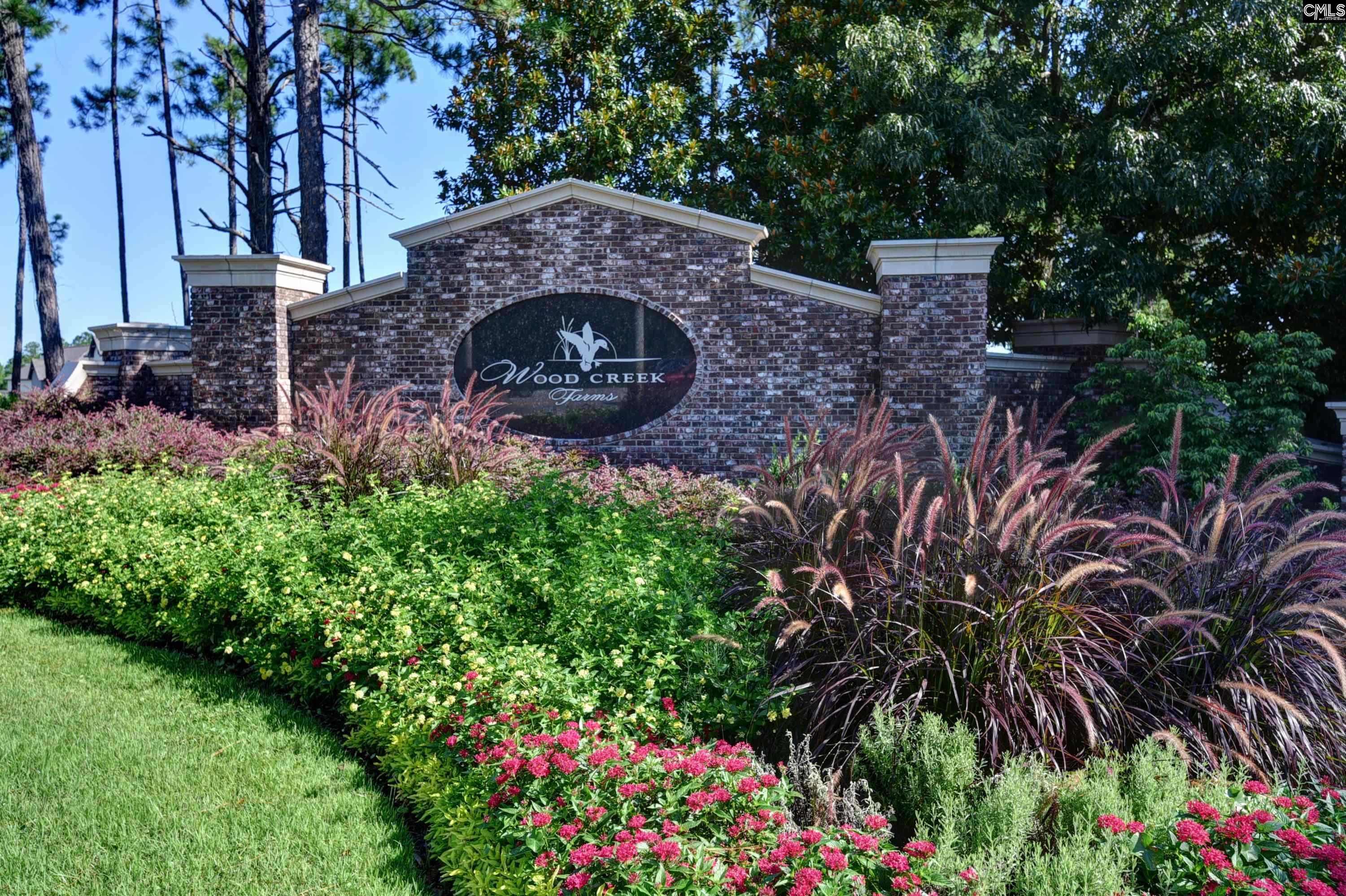 331 E Arrowleaf Lane Elgin, SC 29045